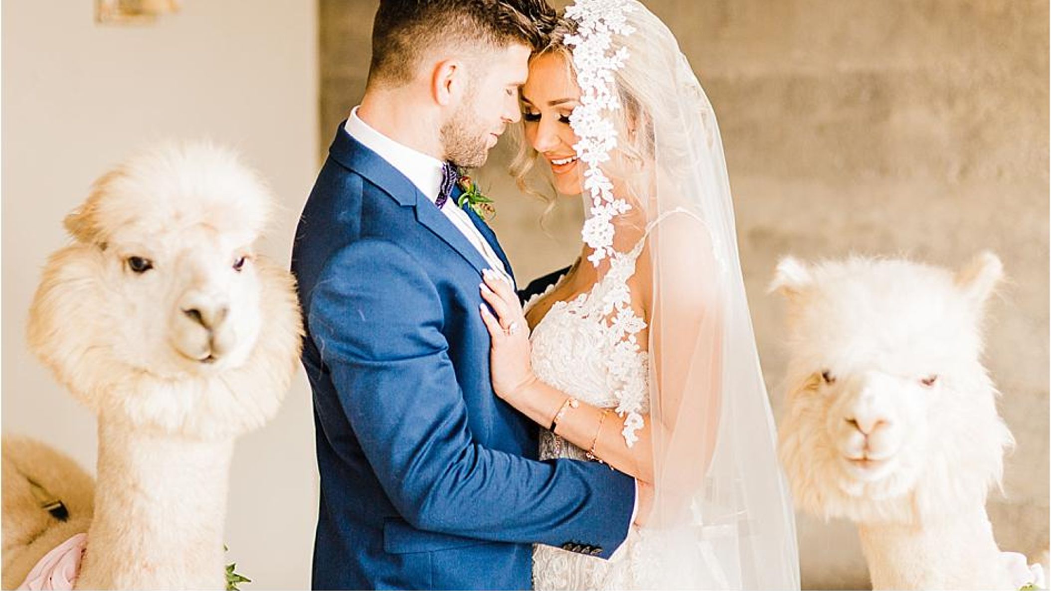 Oregon_Bride/StyledShoots/alpacas/2018-09-16_0131.jpg