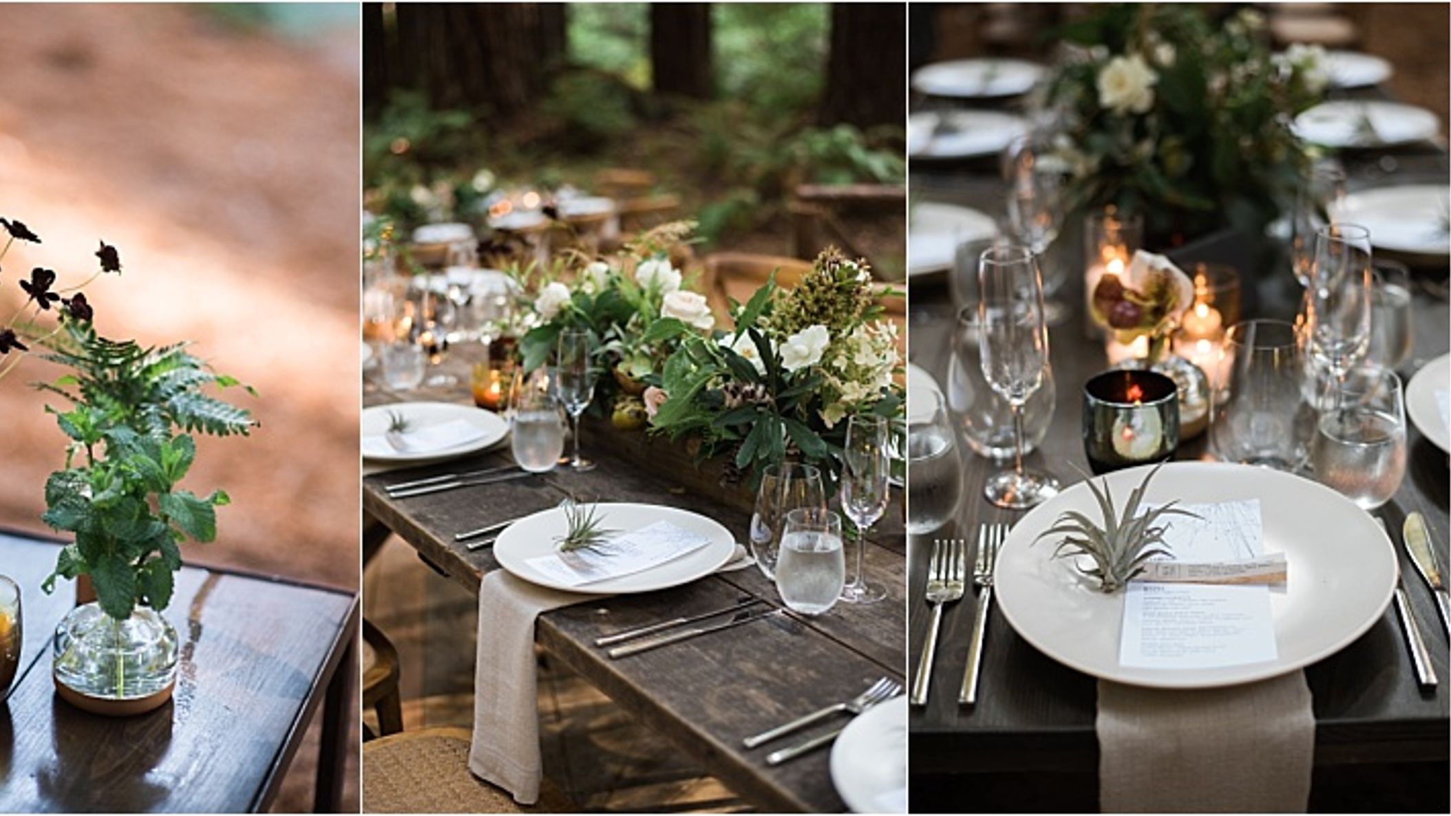 CWD/Sum18PrintWeddings/StarryStarryNight/2018-09-23_0011.jpg