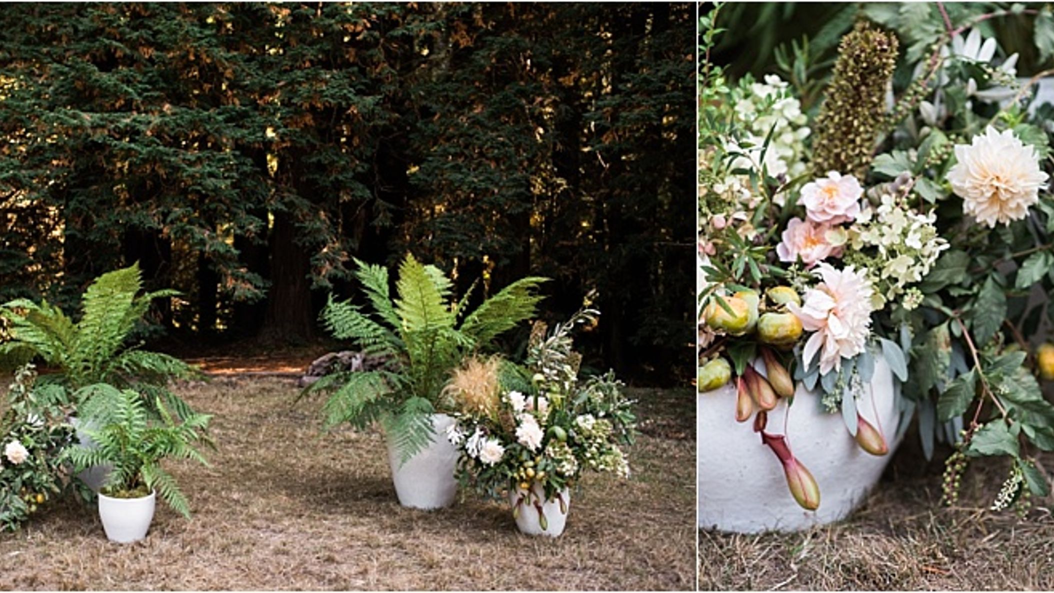 CWD/Sum18PrintWeddings/StarryStarryNight/2018-09-23_0021.jpg