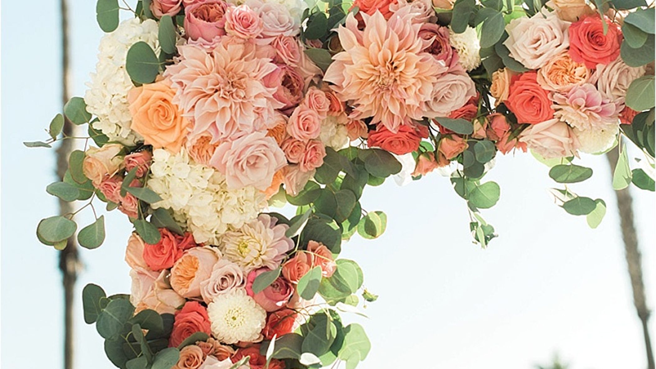 CWD/Sum18PrintWeddings/SkyHighLove/2018-10-01_0041.jpg