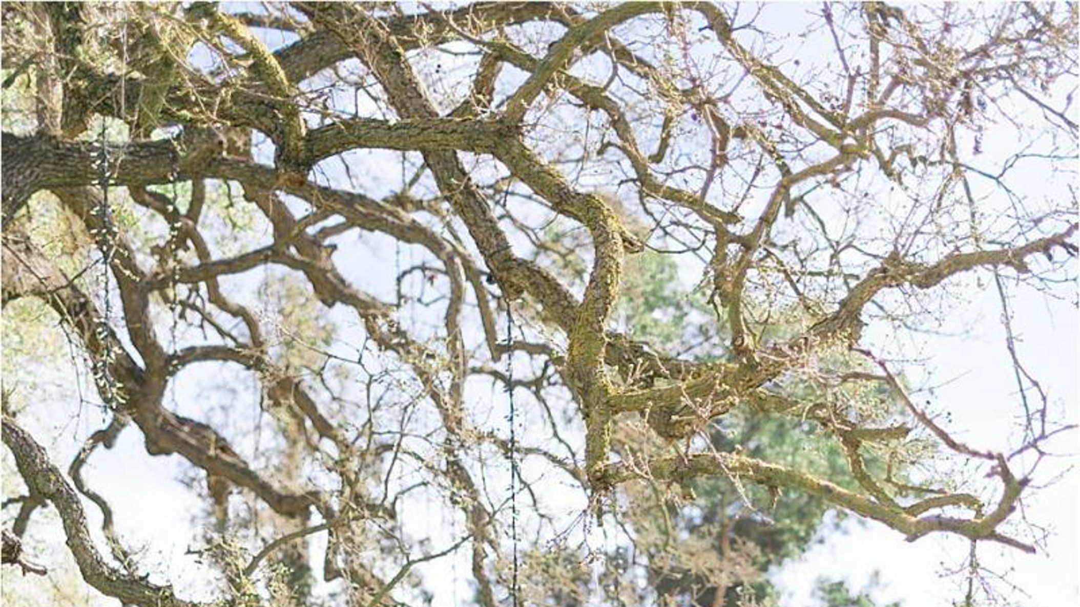 CWD/online/realweddings/dani_macaine/2018-10-23_0020.jpg