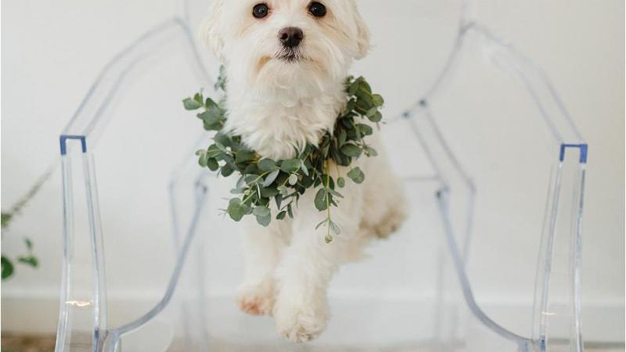 Seattle_Bride/online/styledshoots/dustyblue/2018-11-16_0050.jpg