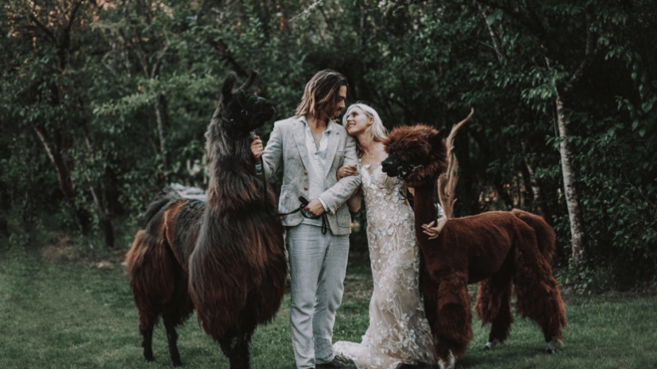 Oregon_Bride/WebStories/DecorInspo_Friday/Party_Animal_659x.png