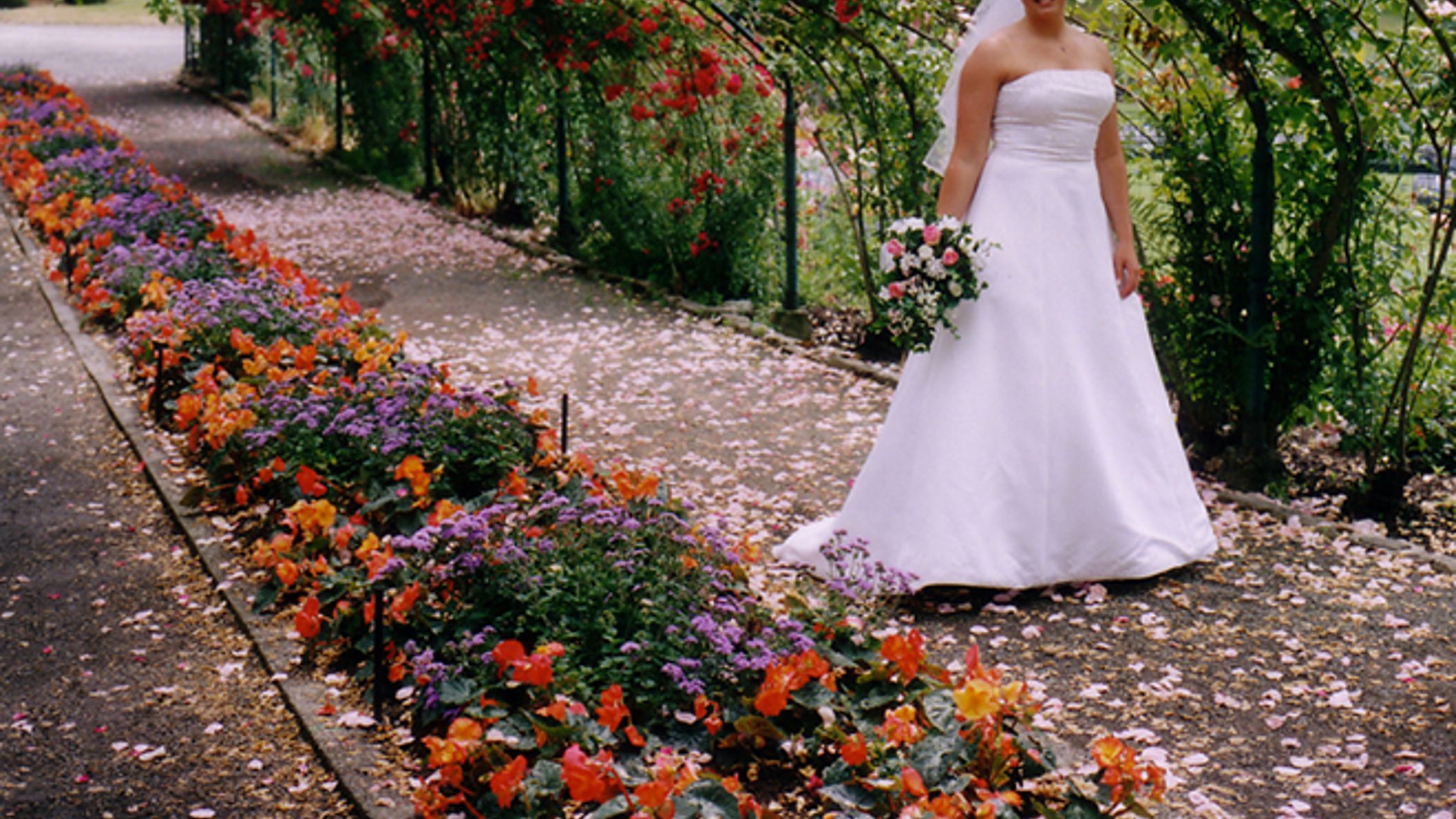 Seattle_Bride/Sponsored/Point Defiance Rose Garden (2) cropped.jpg