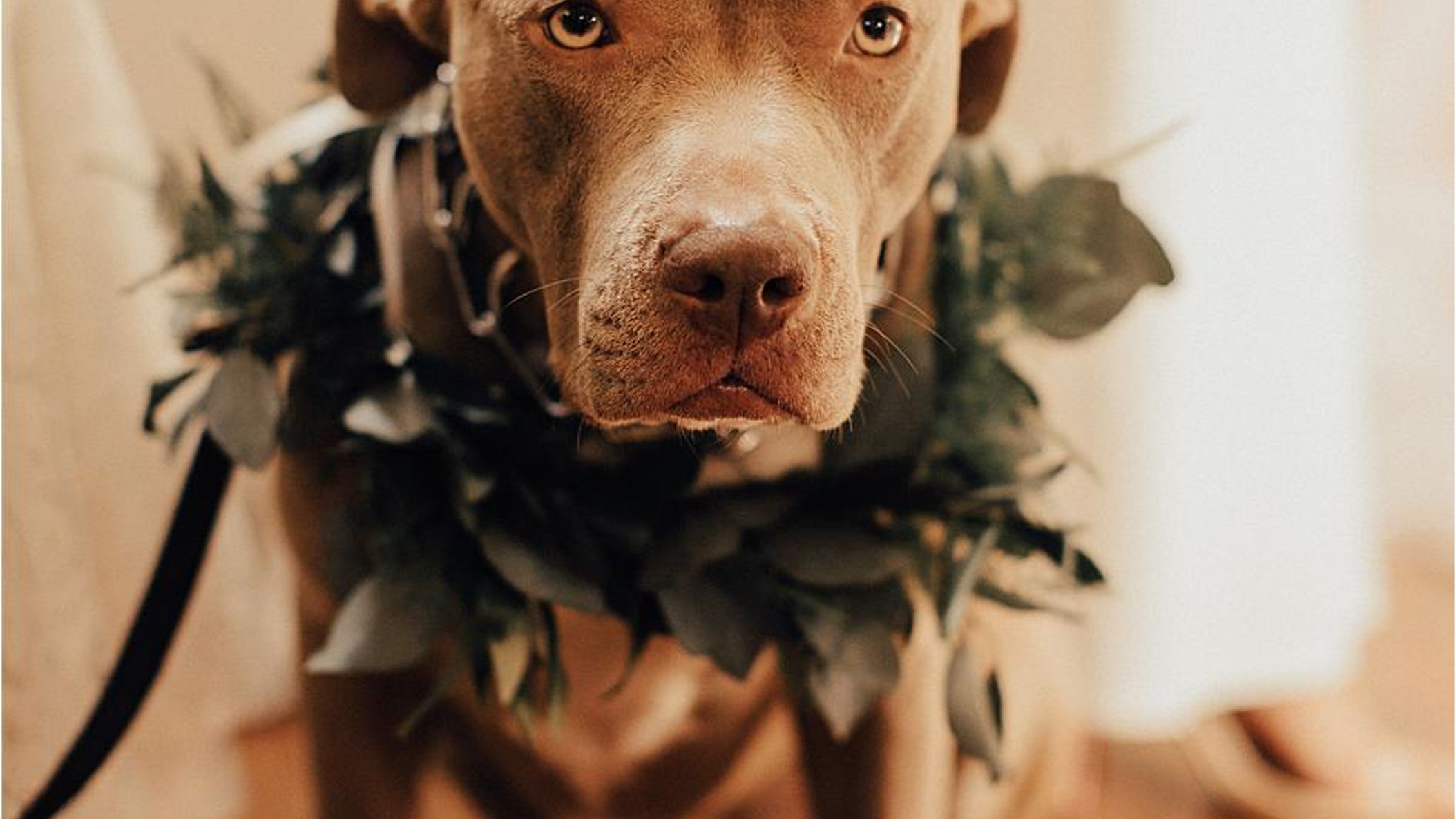 CWD/online/realweddings/nikki_courtney/2019-01-06_0006.jpg