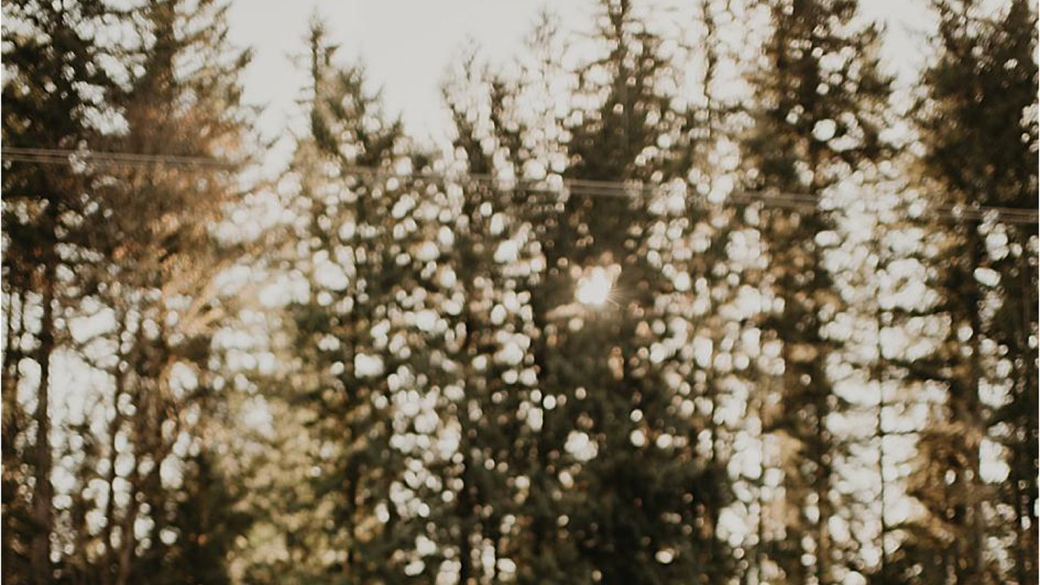 Seattle_Bride/online/realweddings/madison_keegan/2019-02-18_0019.jpg