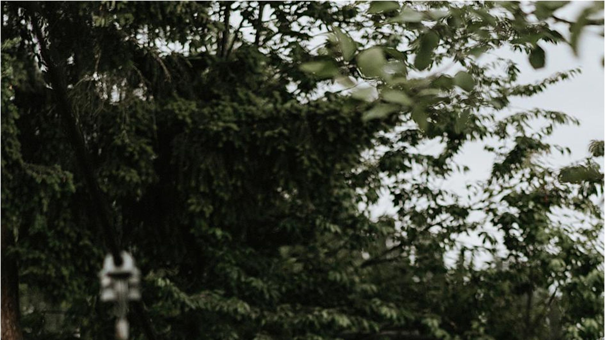 Seattle_Bride/online/realweddings/leslie_brady/2019-03-02_0043.jpg