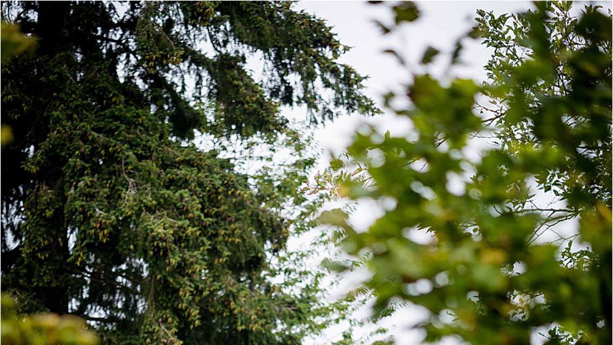 Seattle_Bride/online/realweddings/hayley_raymond/2019-04-02_0039.jpg