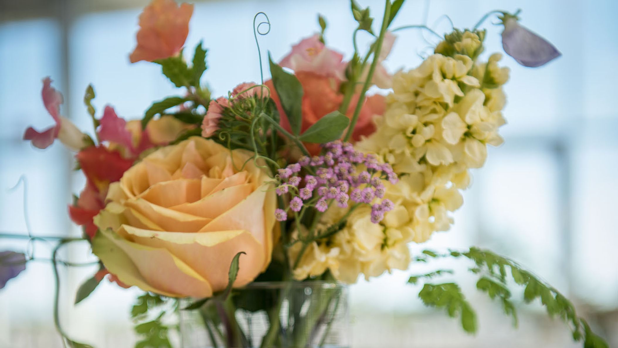 Seattle_Bride/online/realweddings/mariam/mt_1528 copy.jpg
