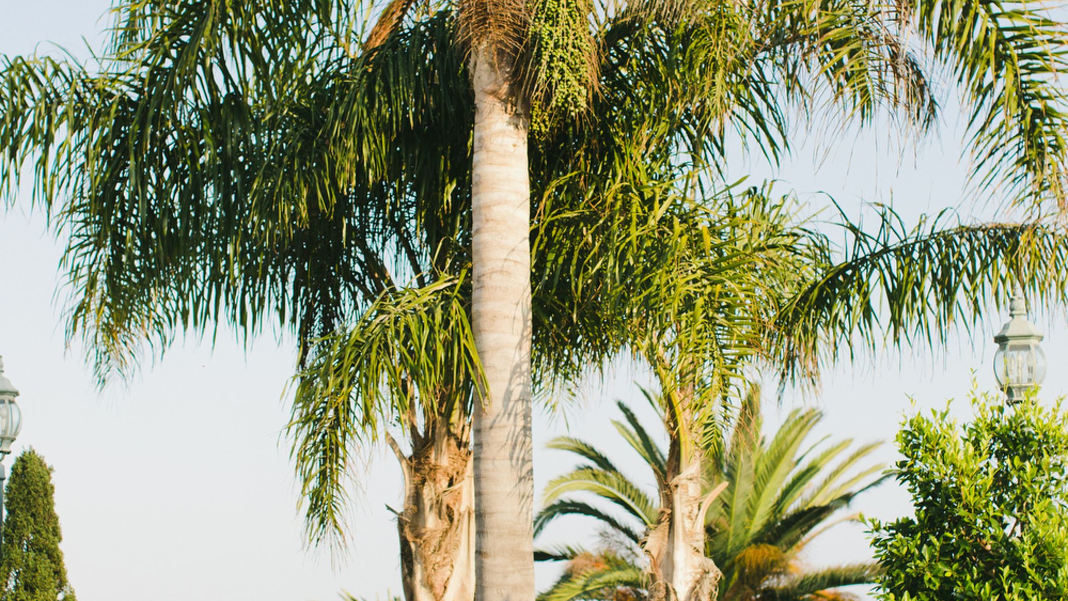 CWD/online/venues/belairbayclub/ST_0796.JPG