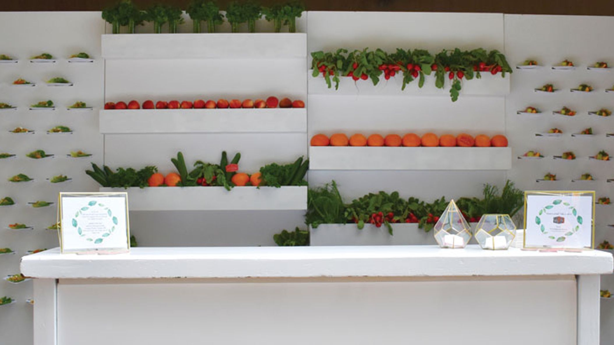 saladwall2-copy_1.jpg