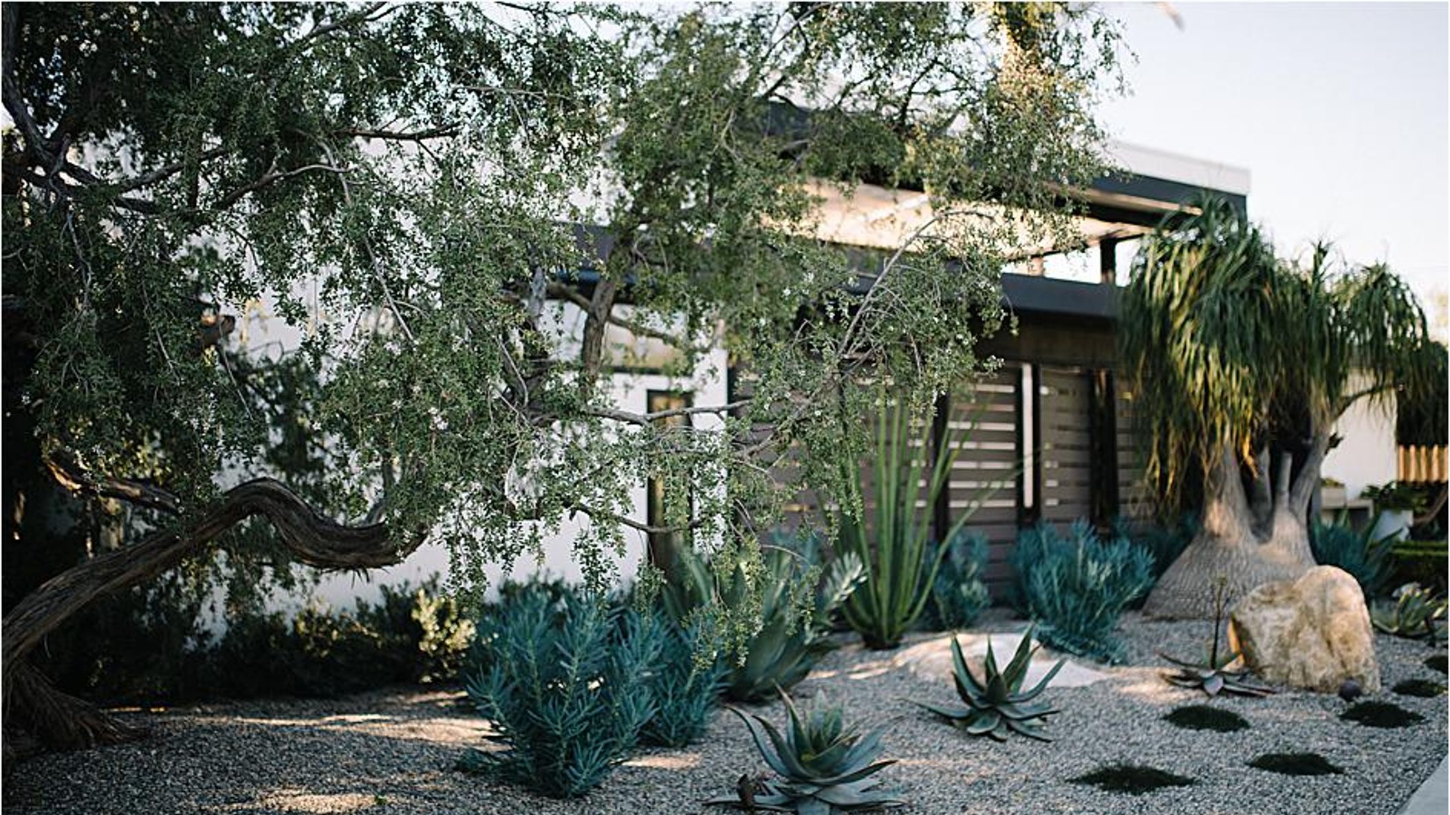 CWD/online/styledshoots/greenhouse/2019-05-28_0001.jpg