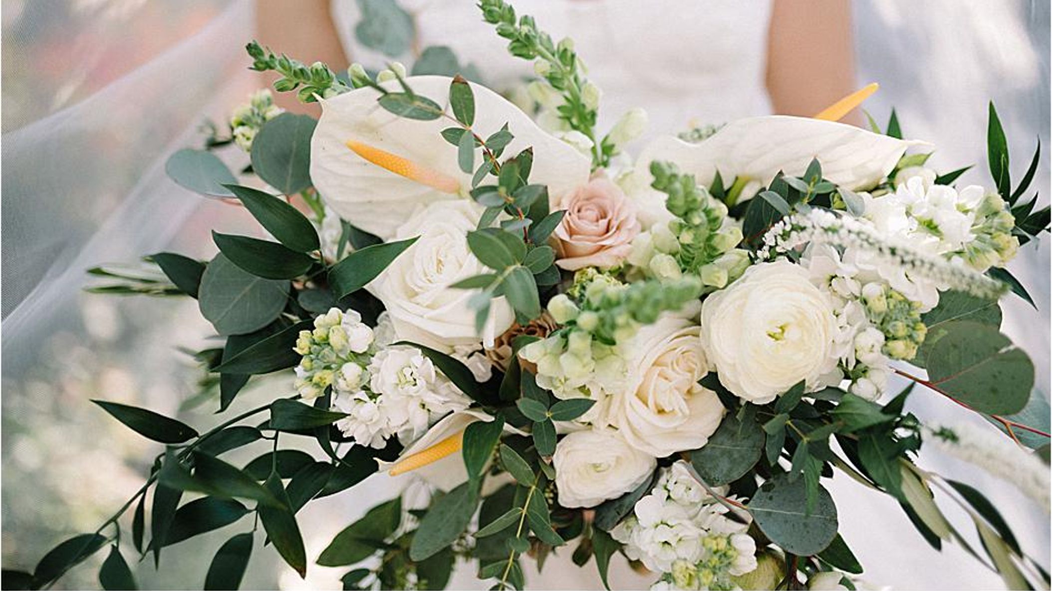 CWD/online/styledshoots/greenhouse/2019-05-28_0007.jpg