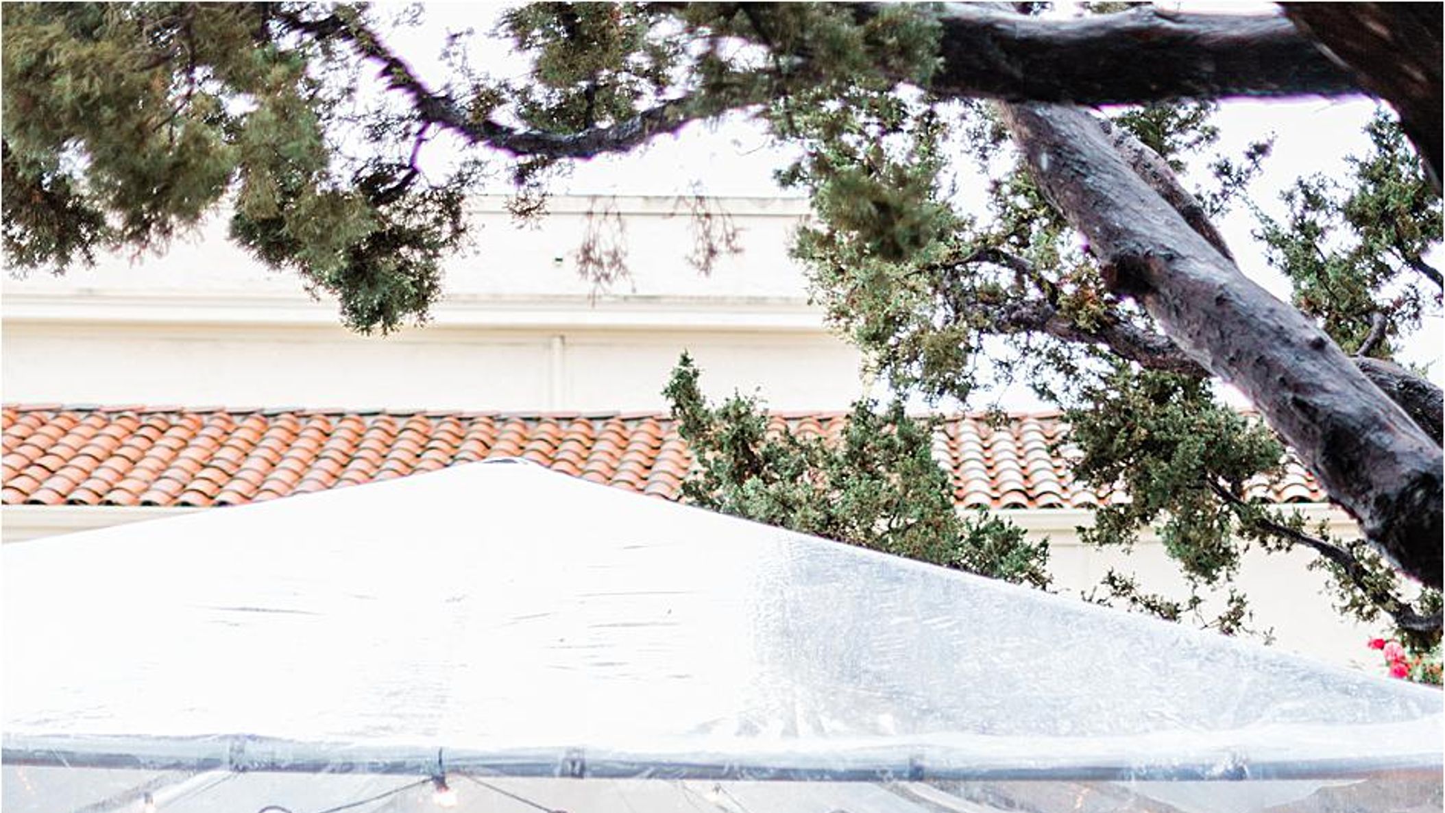 CWD/online/venues/new/ebellsantaana/2019-06-22_0012.jpg