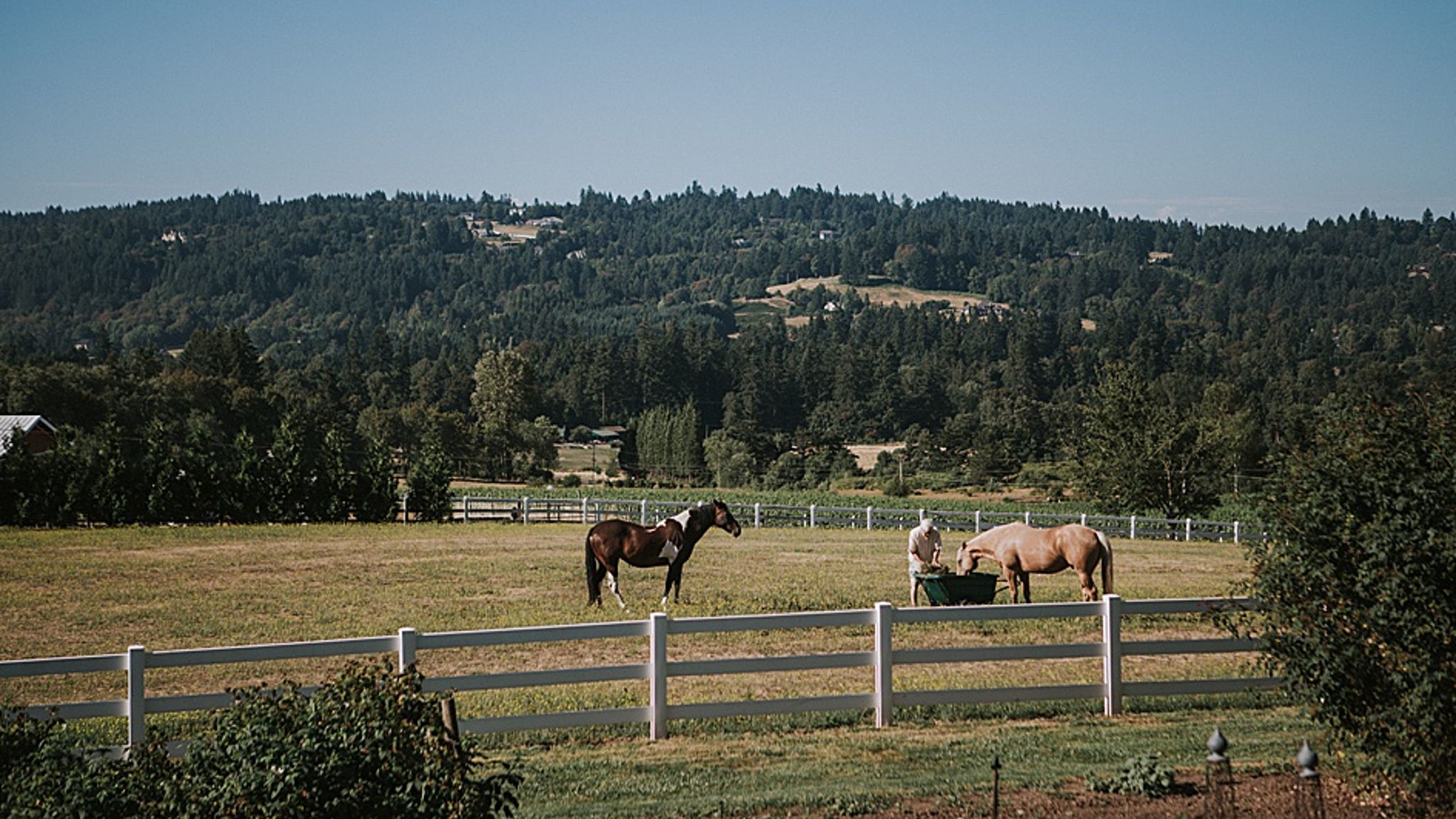 Oregon_Bride/RealWeddinga/ashleyjustin/2019-07-12_0010.jpg