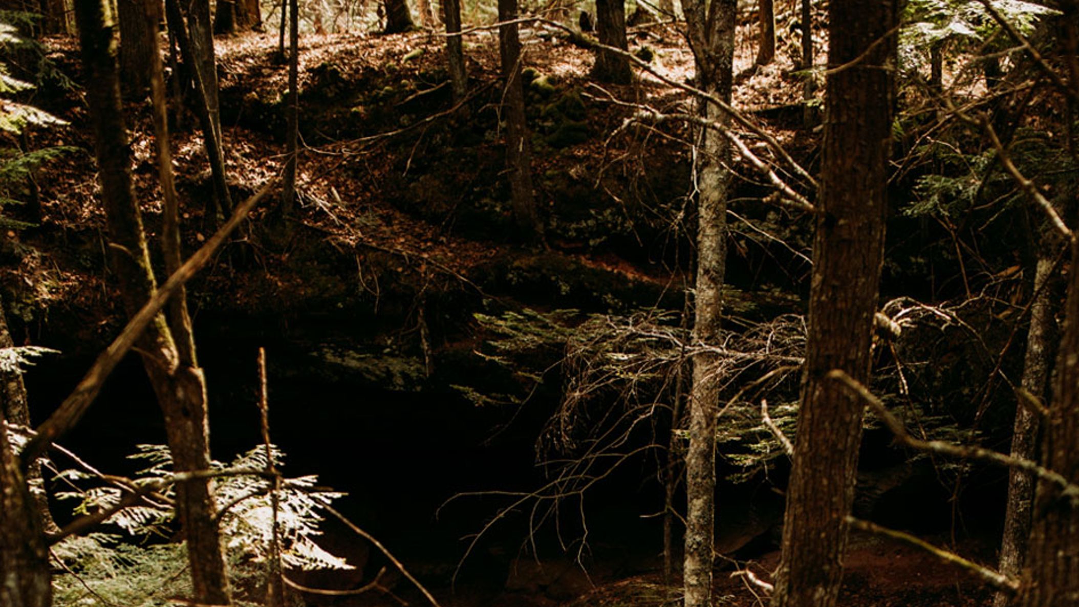 narrowleafloveandadventurephotography-houghton-falls-bayfield-wi-6303.jpg