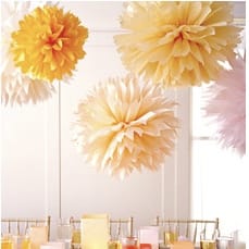 field/image/poms.jpg