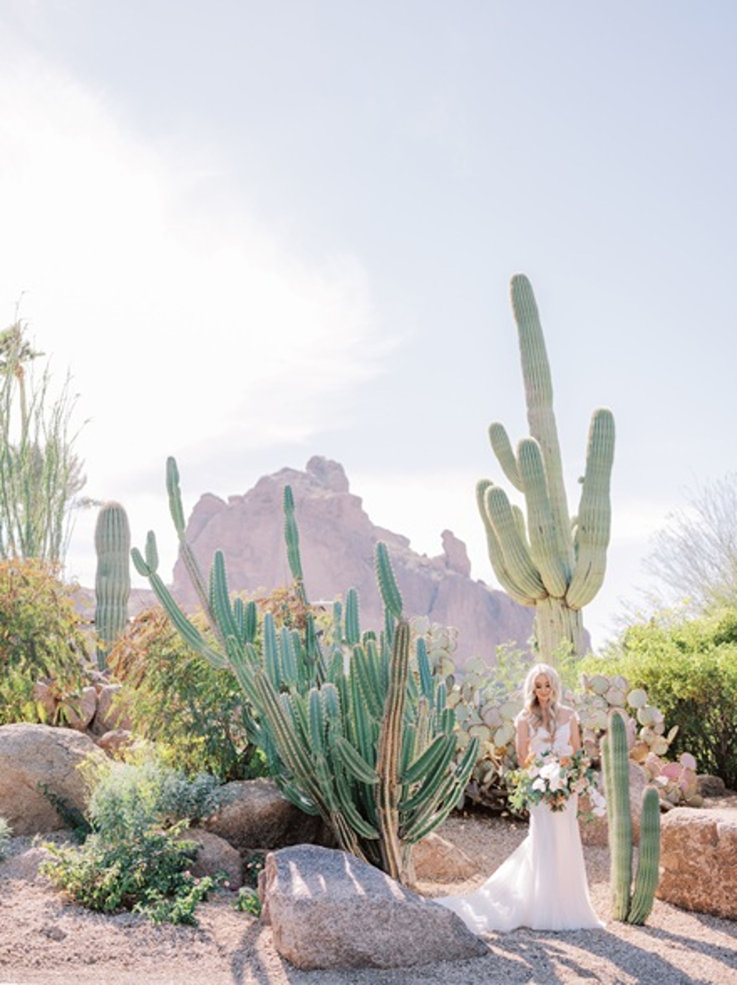 2025-11/Bride in desert.jpg