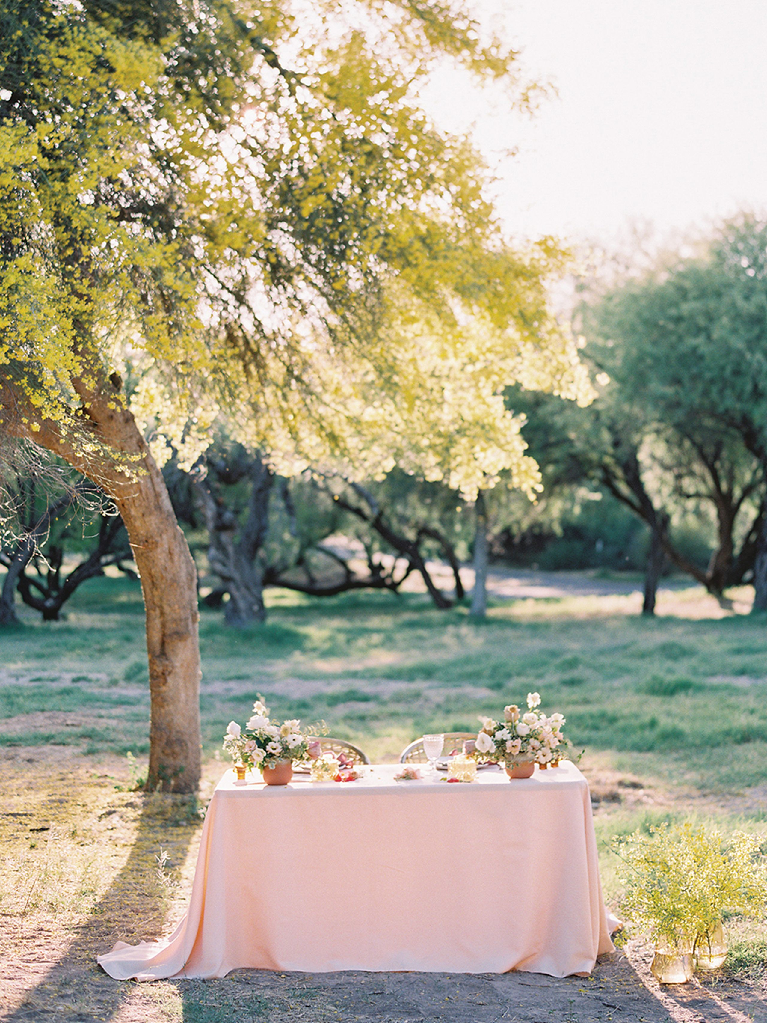CWD/azb/apricot_AZB_SS2305.jpg