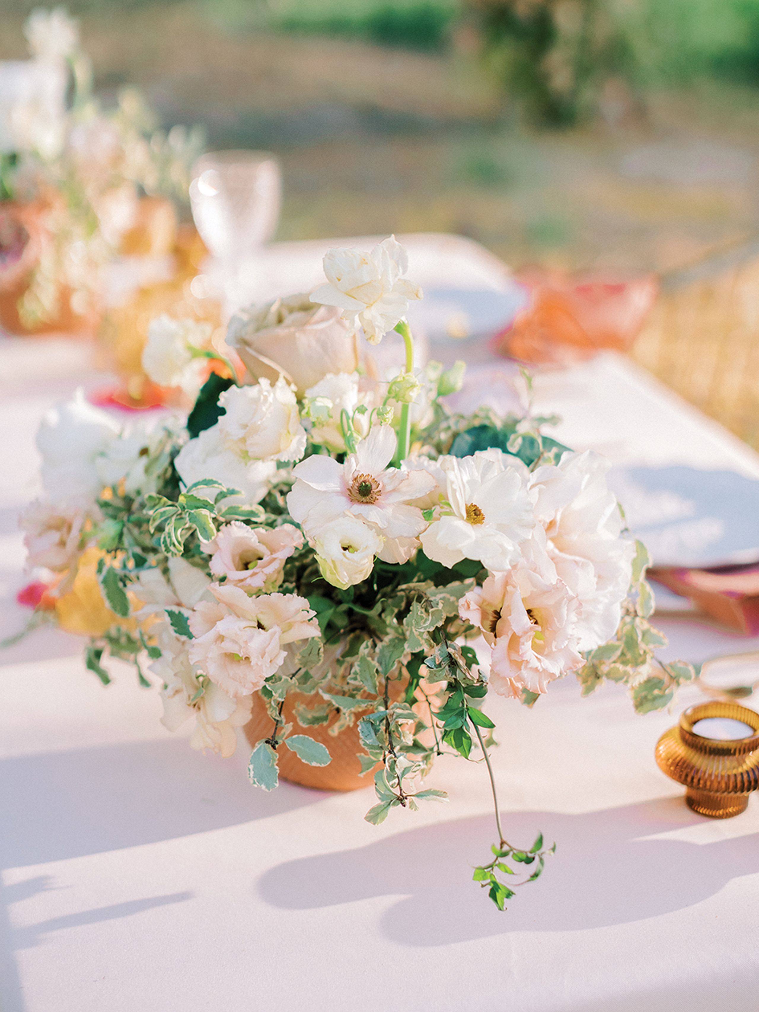 CWD/azb/apricot_AZB_SS2306.jpg