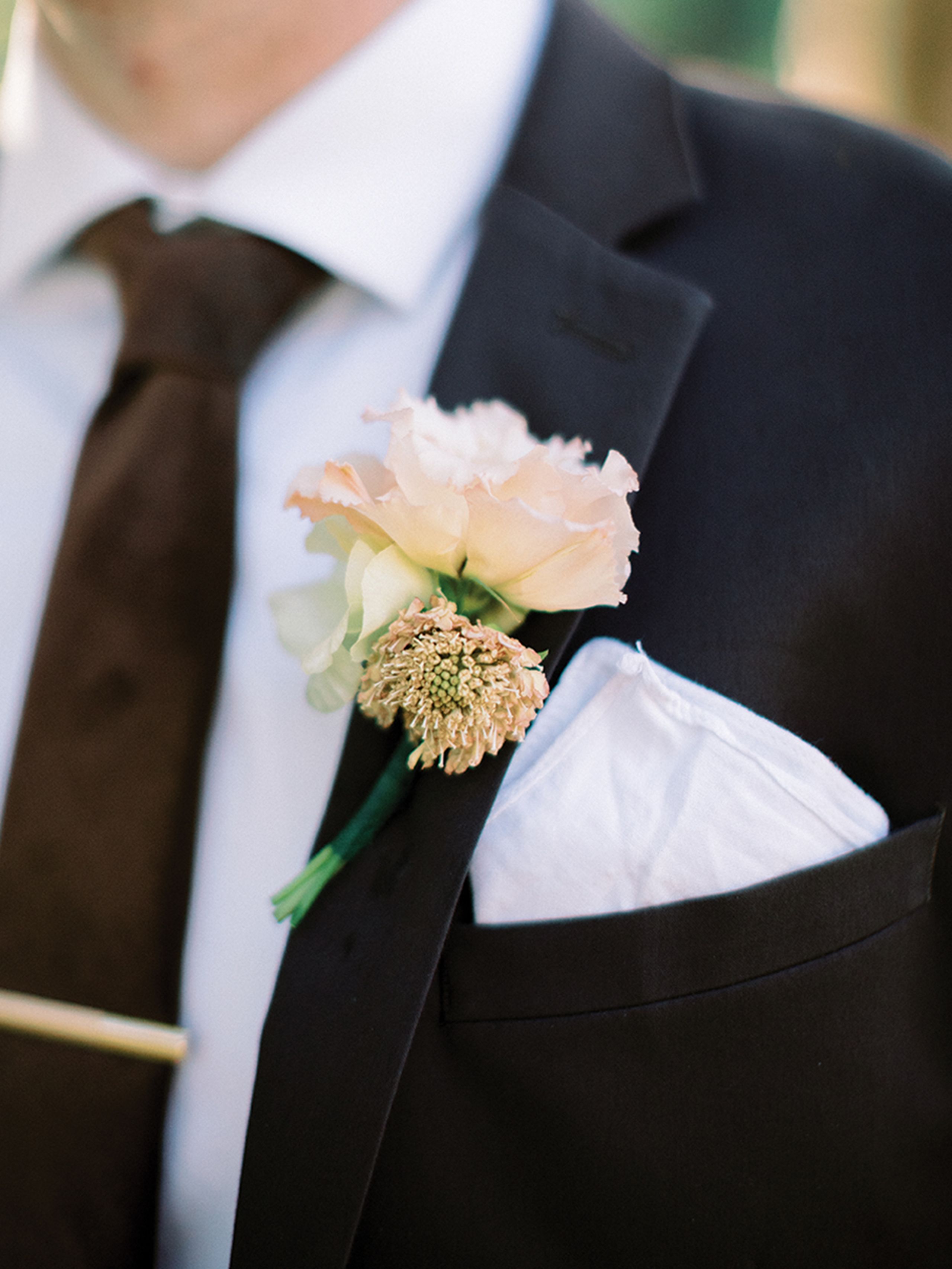 CWD/azb/apricot_AZB_SS2308.jpg