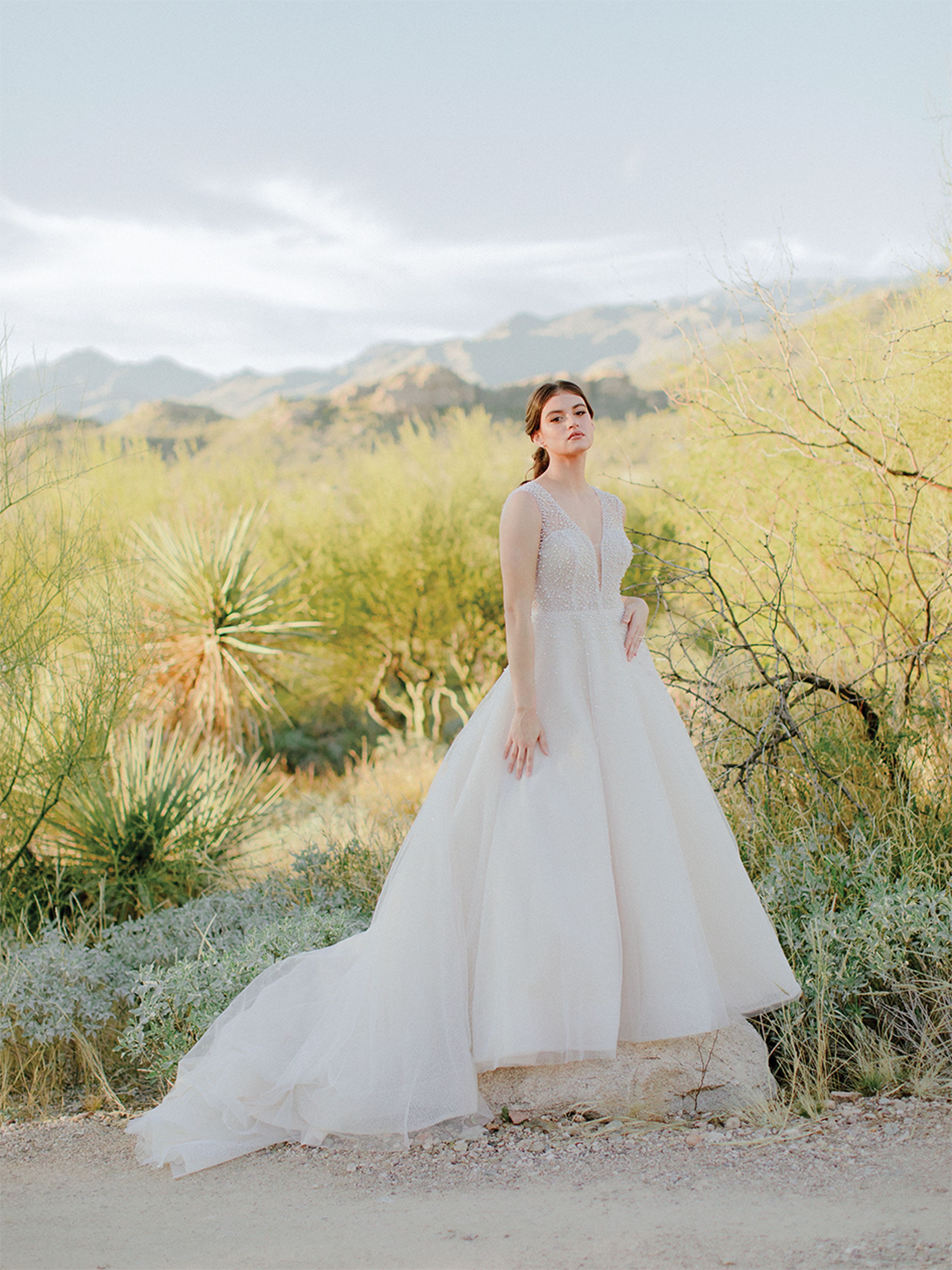 CWD/azb/fashion_AZB_SS2305 copy.jpg
