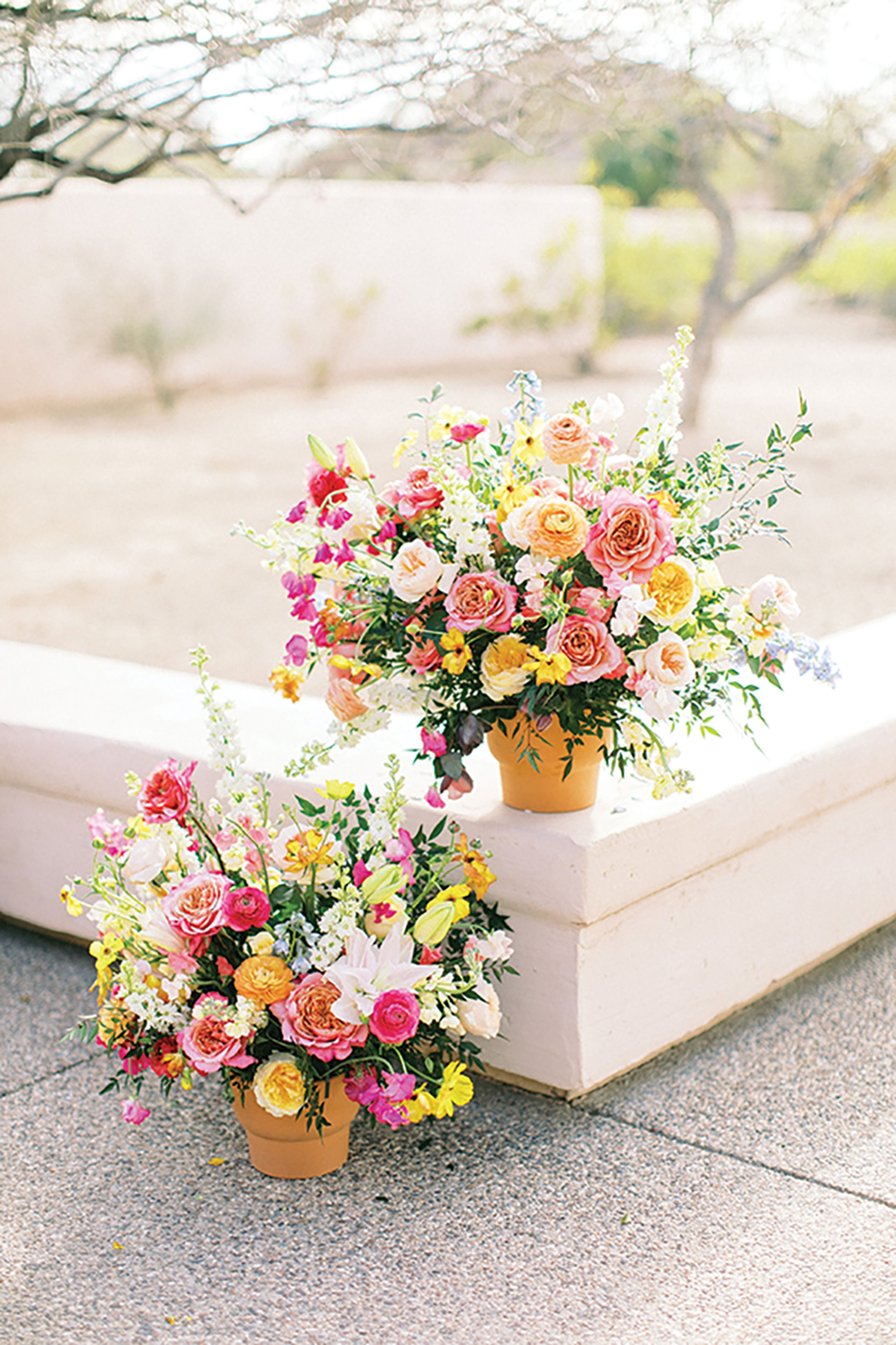 CWD/azb/rw/rw1_AZB_SS2303.jpg