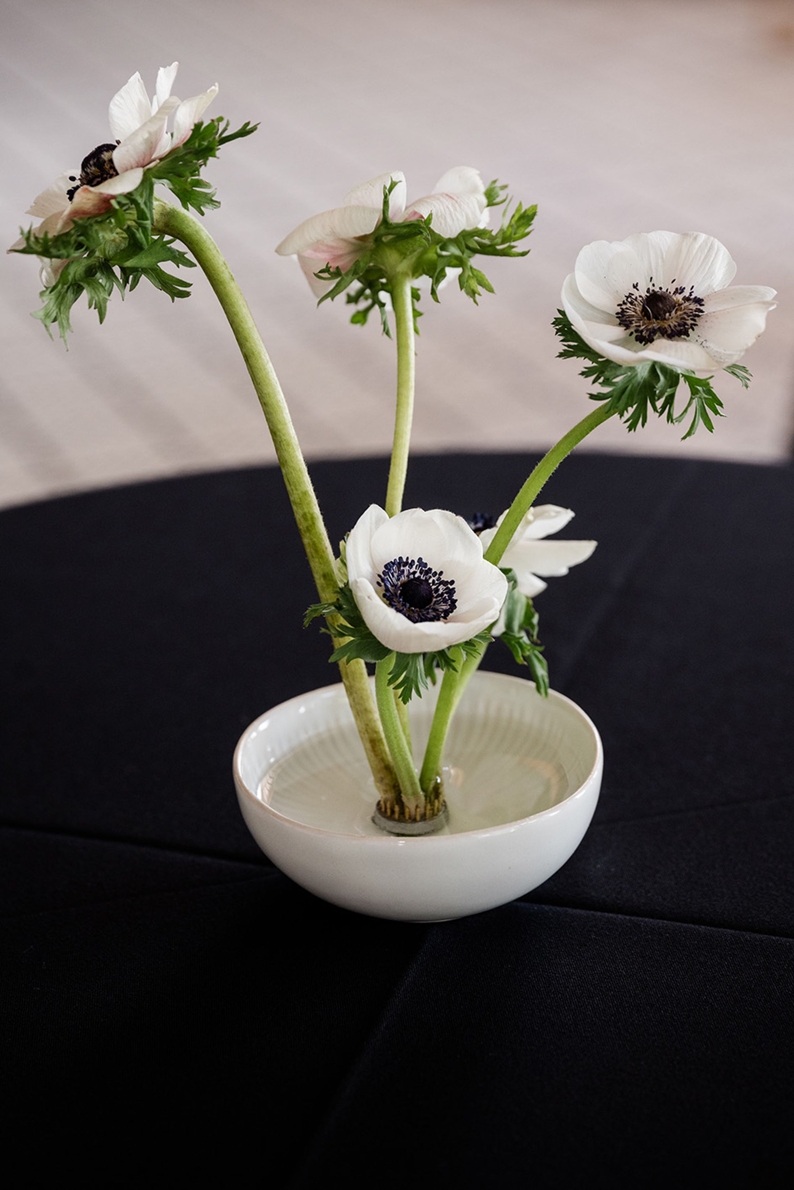 2023-08/flowers_0.jpg