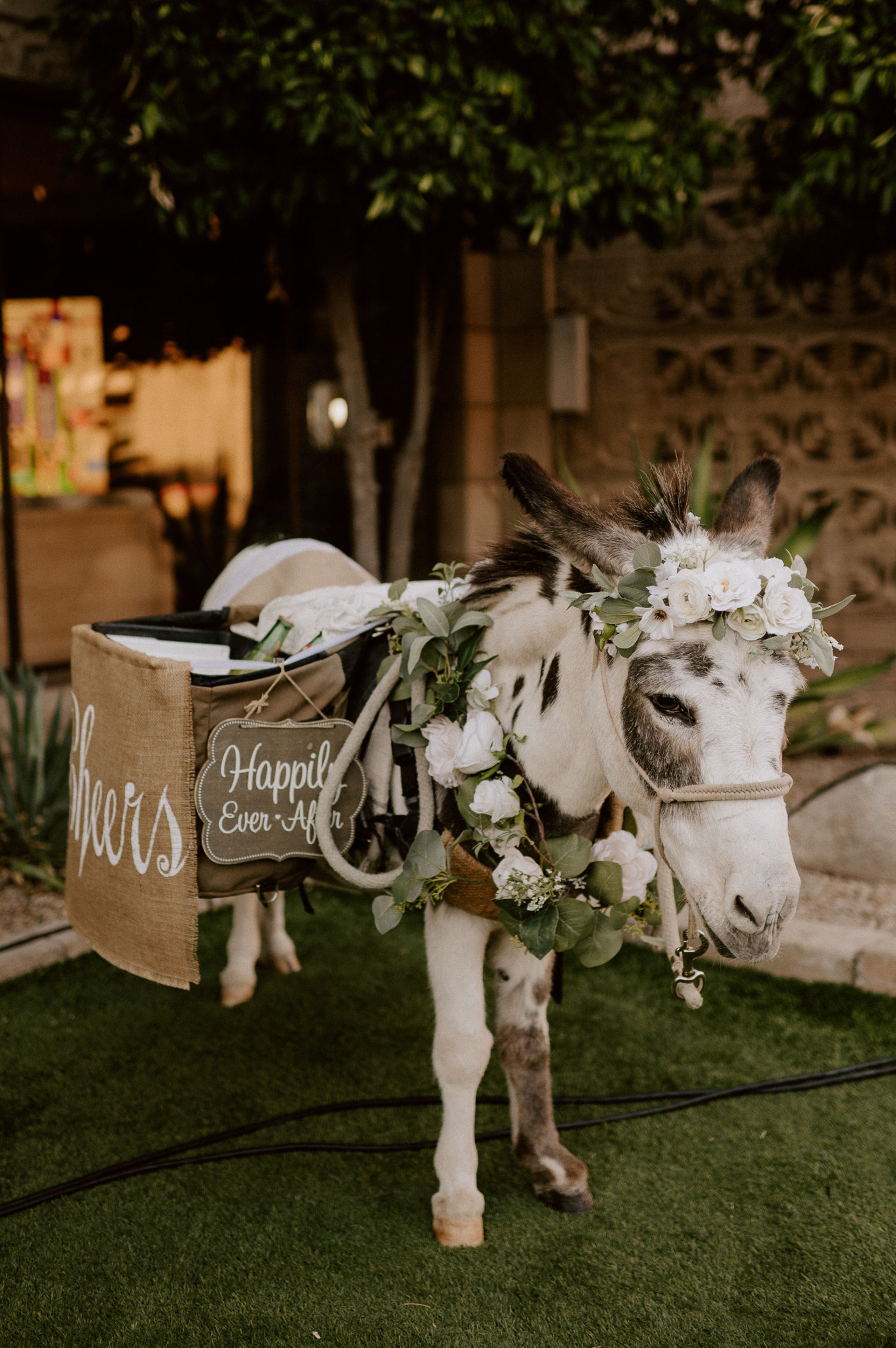 2024-06/Goltl Wedding Edits-Hayley Dolson-5978.jpg