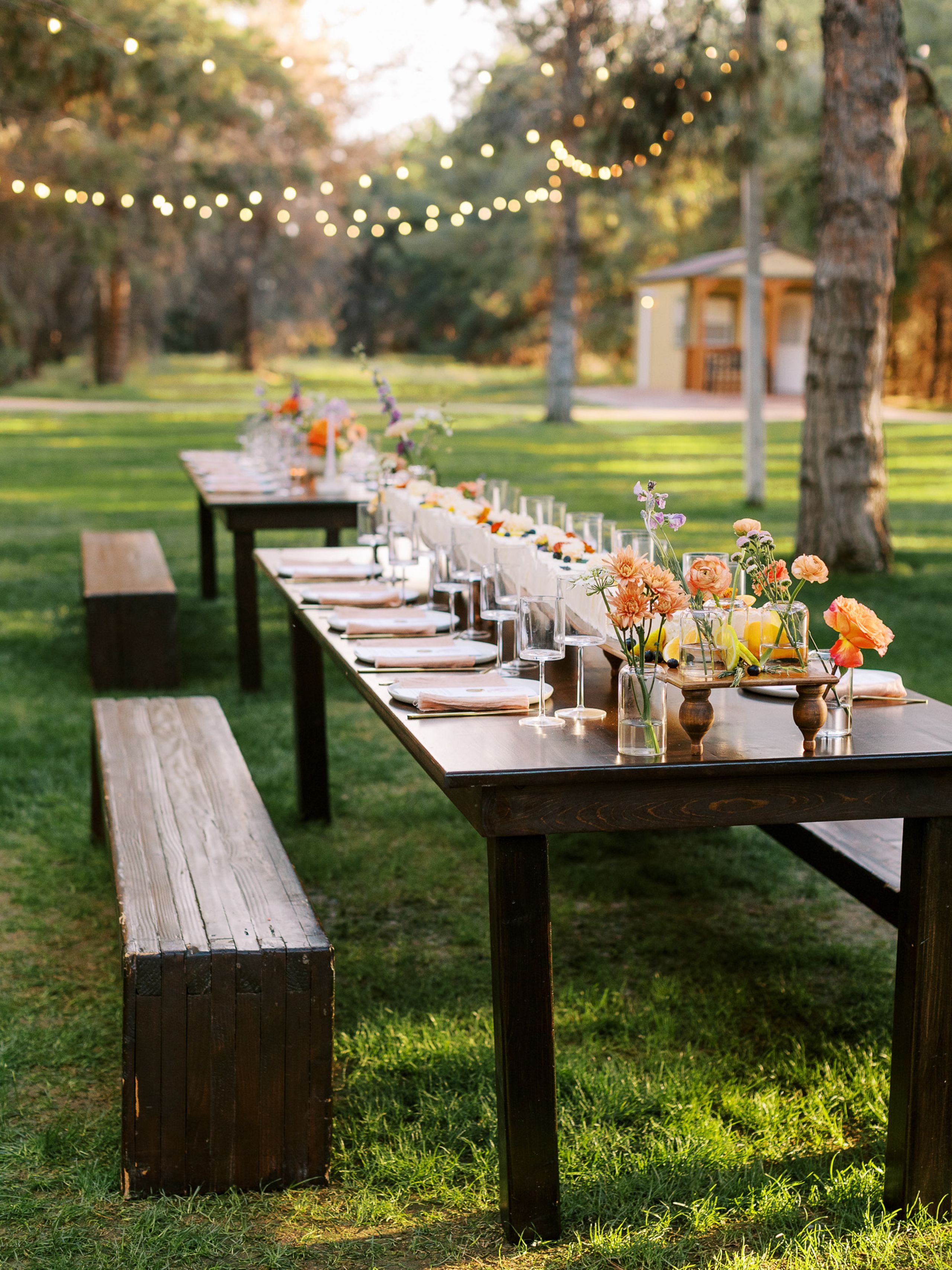 2024-07/018_Sara_Bishop_Spring_Meadows_Schnepf_Farms_March 05, 2024.jpg