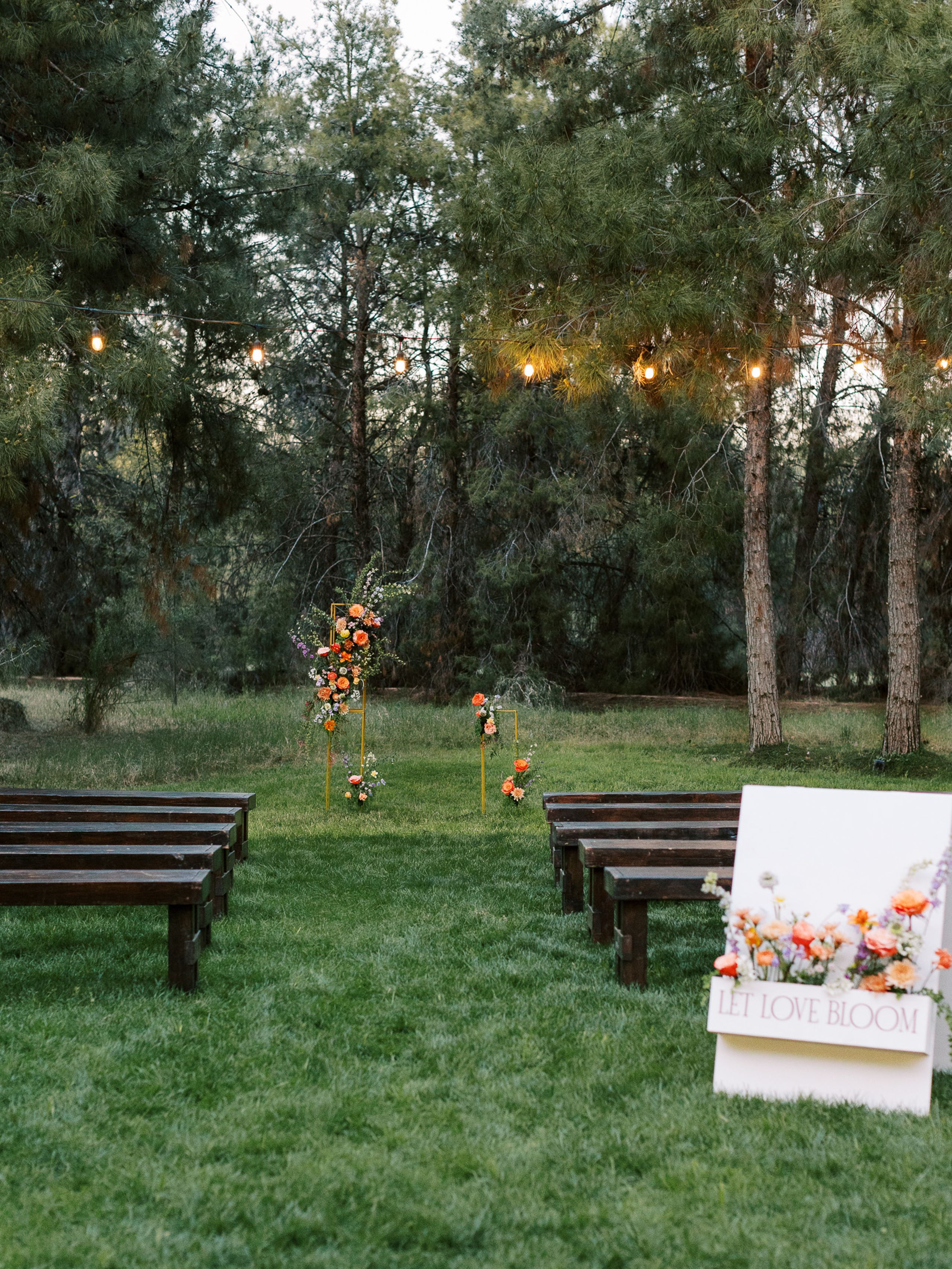 2024-07/004_Sara_Bishop_Spring_Meadows_Schnepf_Farms_March 05, 2024.jpg