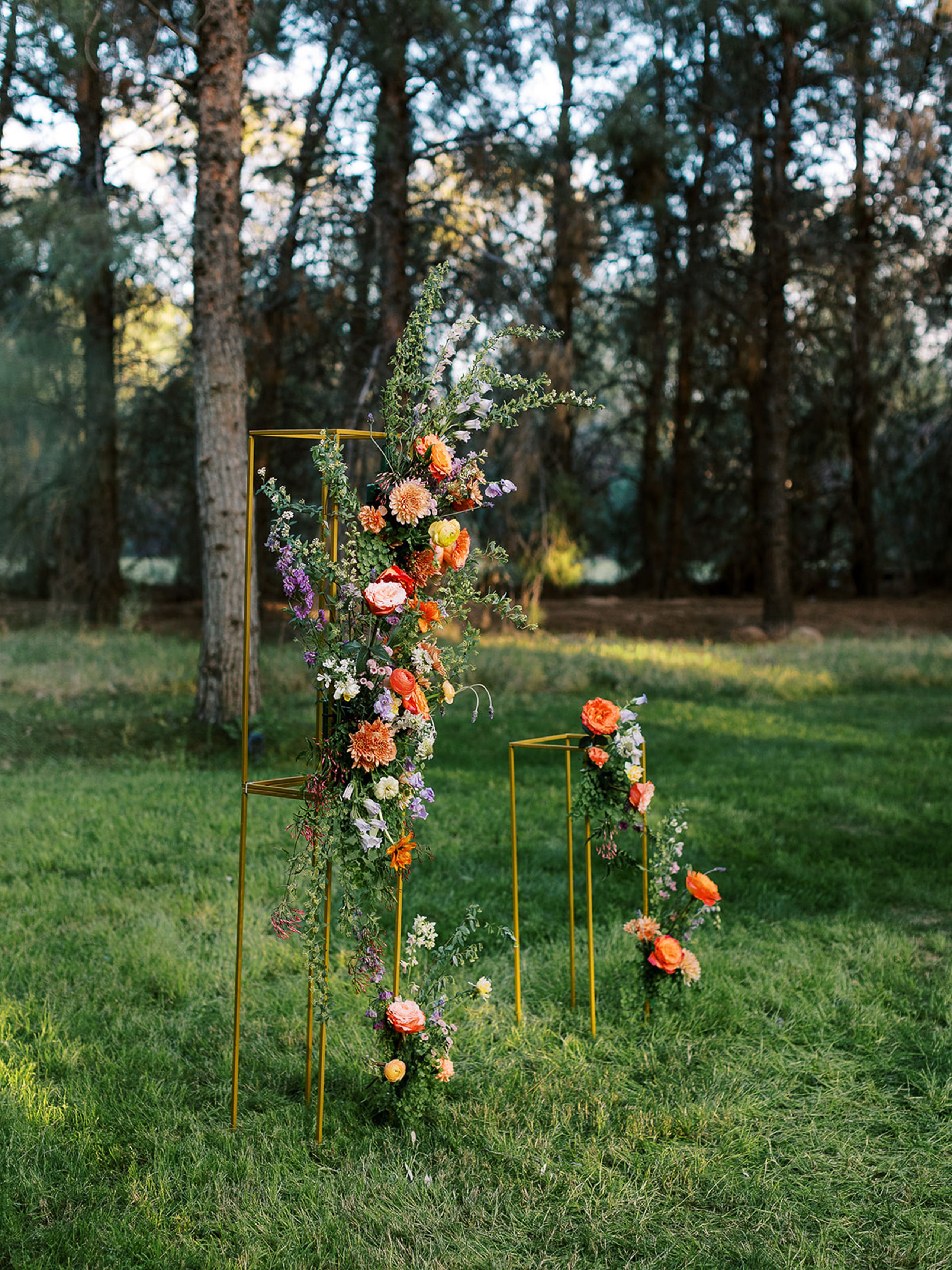 2024-07/005_Sara_Bishop_Spring_Meadows_Schnepf_Farms_March 05_ 2024.jpg