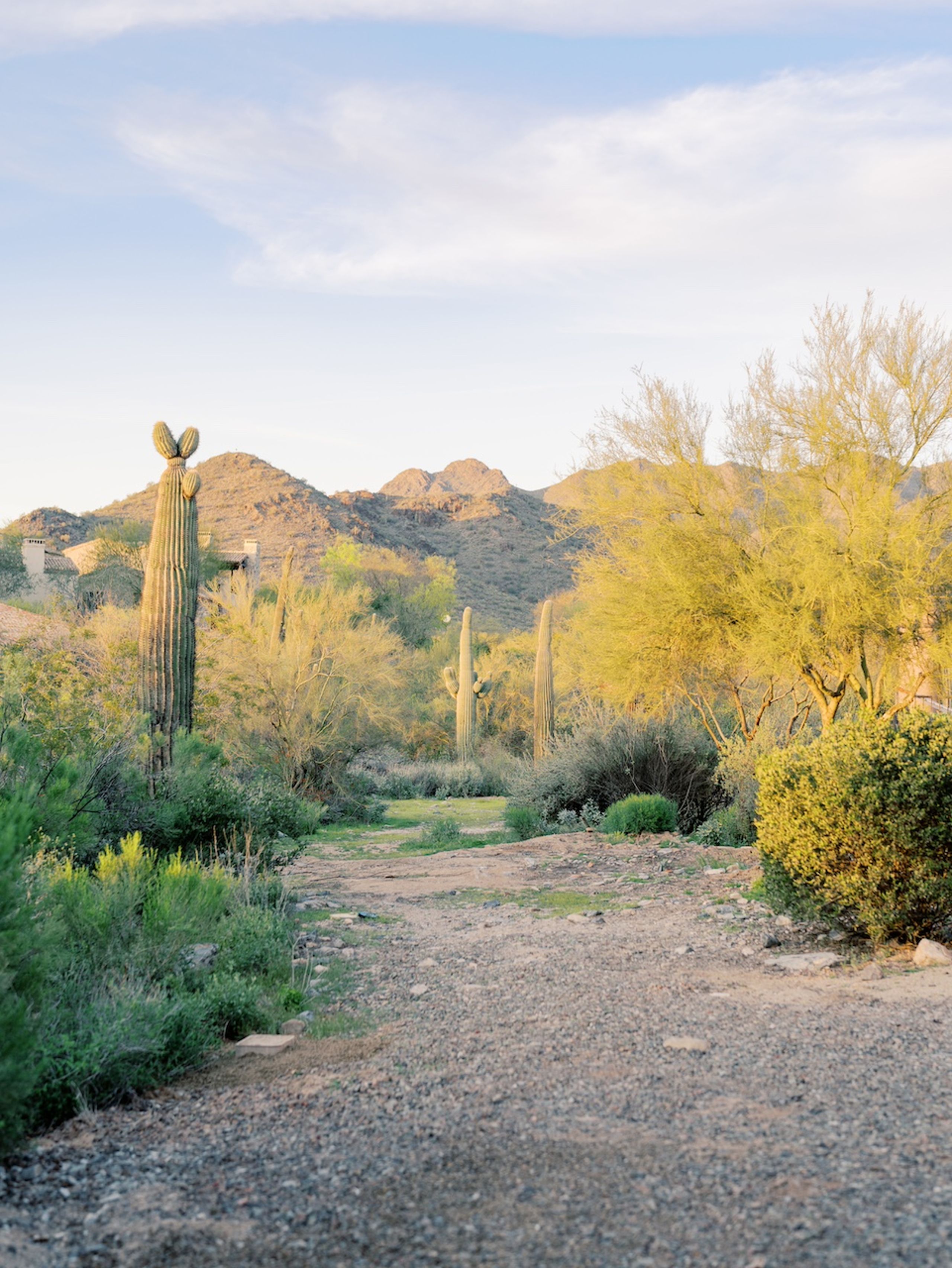 2024-12/Silverleaf Country Club | Arizona Editorial | Wedding | Derek Preciado Photography-2.jpg