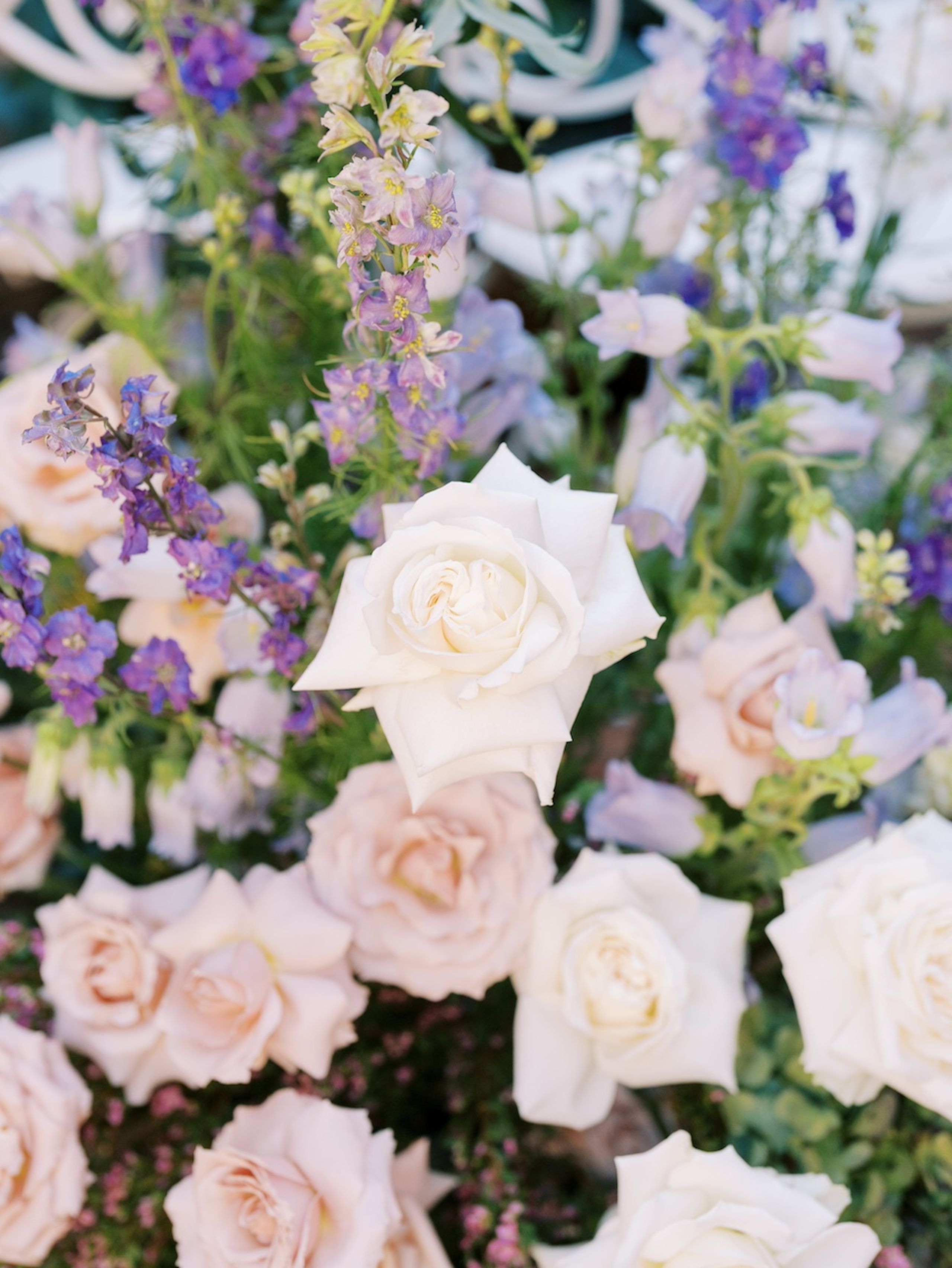 2024-12/Silverleaf Country Club | Arizona Editorial | Wedding | Derek Preciado Photography-22.jpg