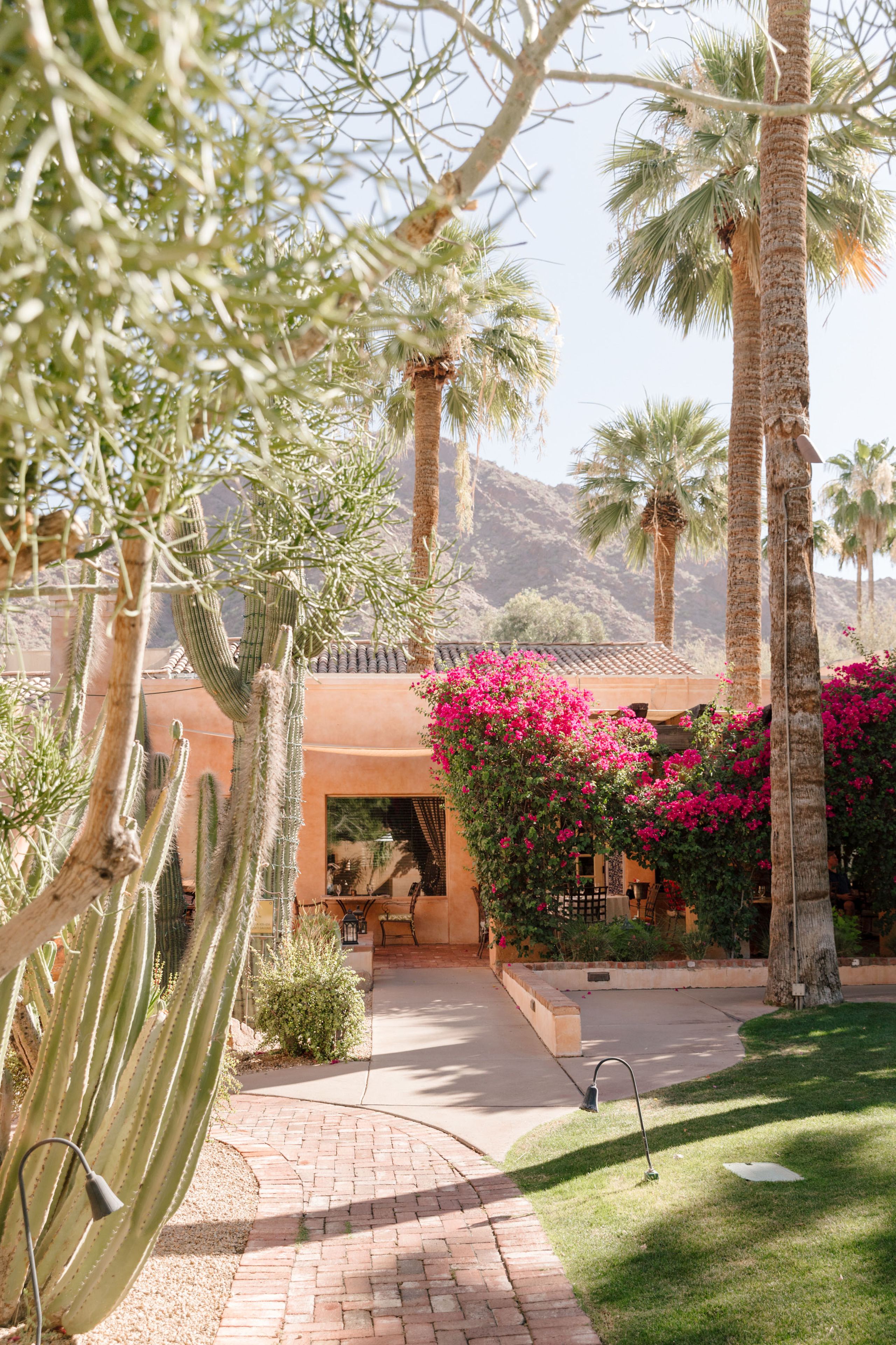 2025-01/V_AZBSS25_RoyalPalms_KaylieMillerPhotos1.jpg
