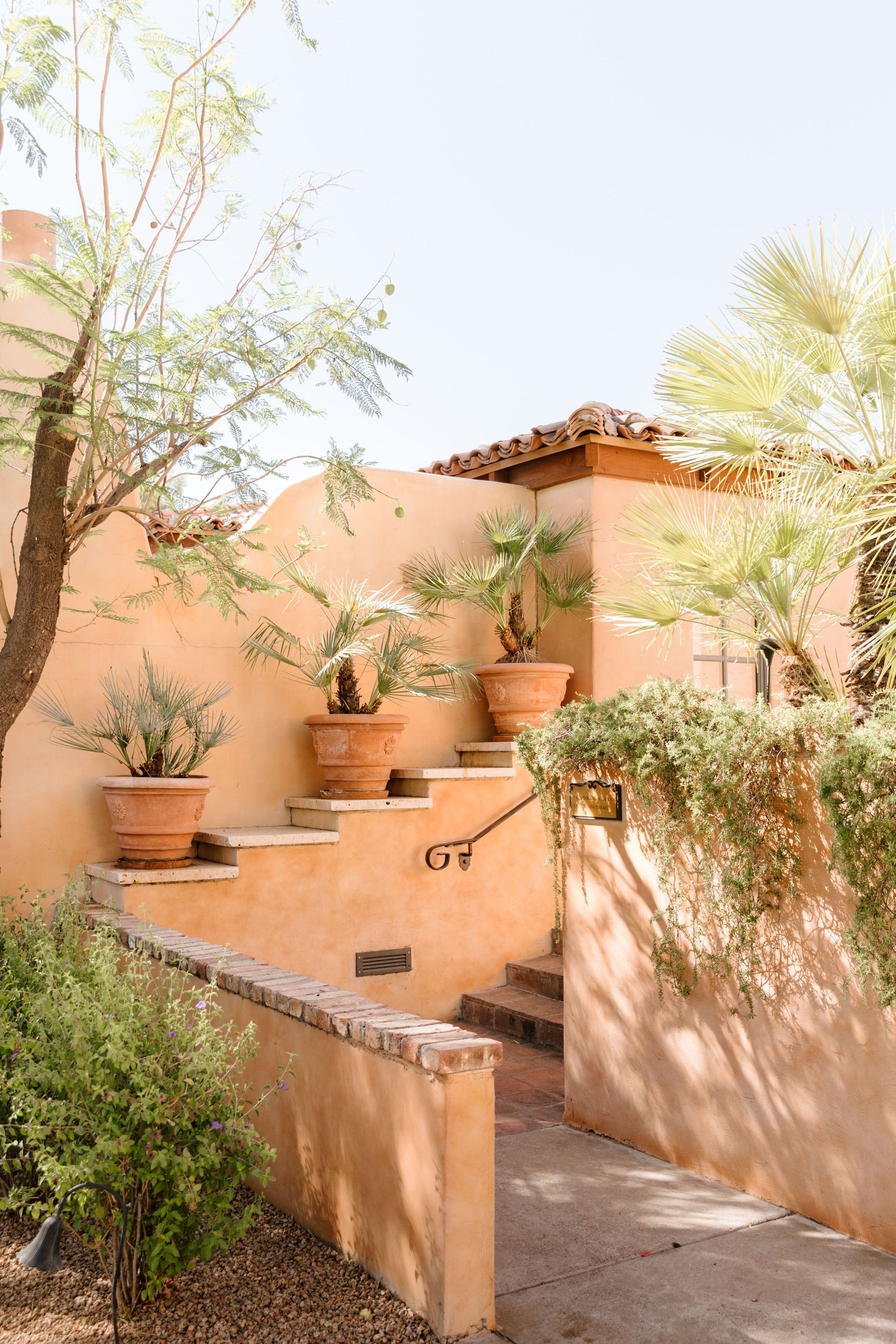 2025-01/V_AZBSS25_RoyalPalms_KaylieMillerPhotos11.jpg