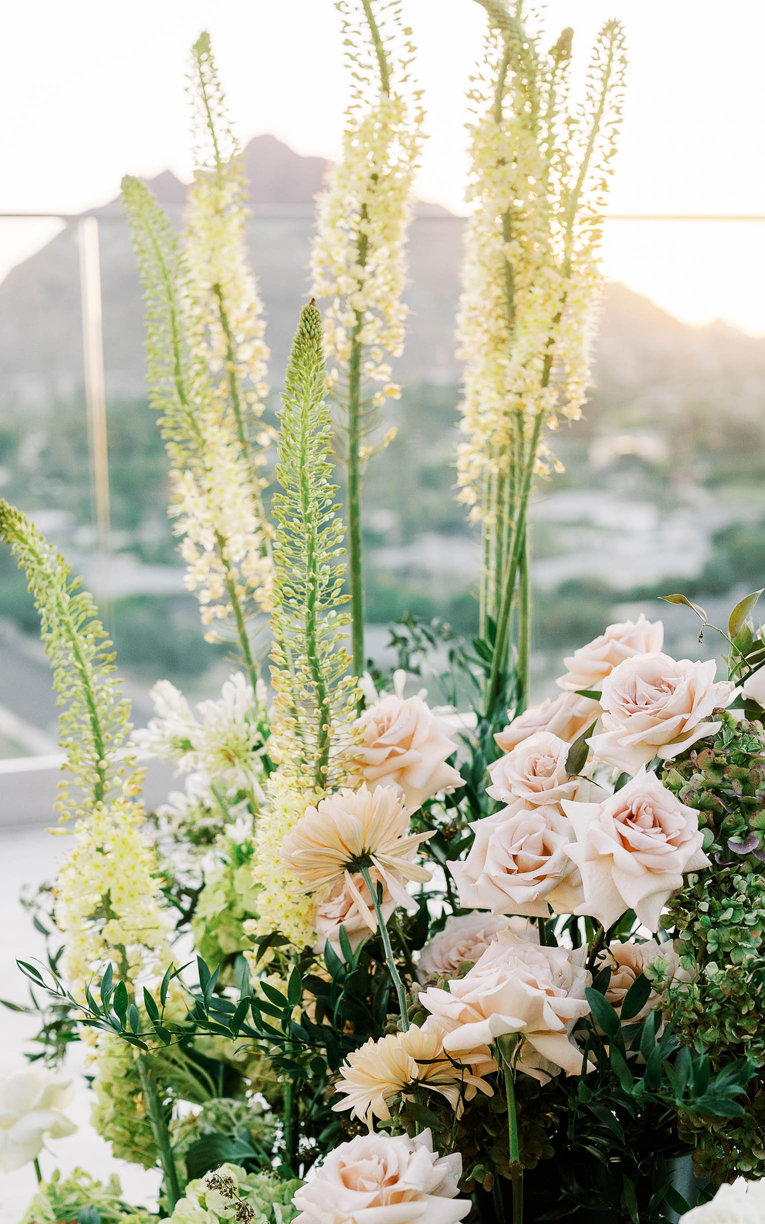 2025-01/F_AZBSS25_StyledShoot43.jpg