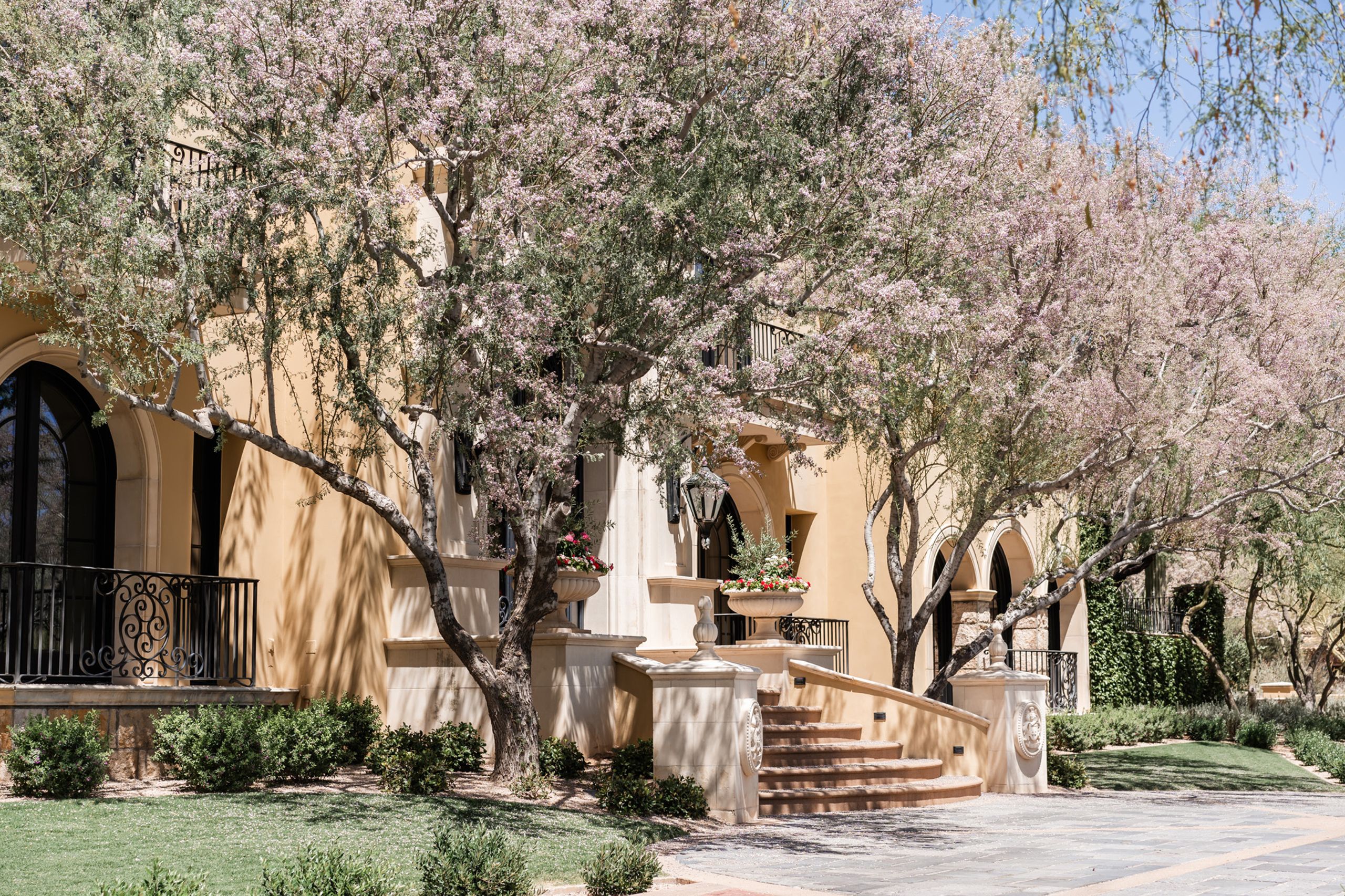 2025-03/StephanieLynnCo-DaniChris-SilverLeafArizona-Detail-25.jpg