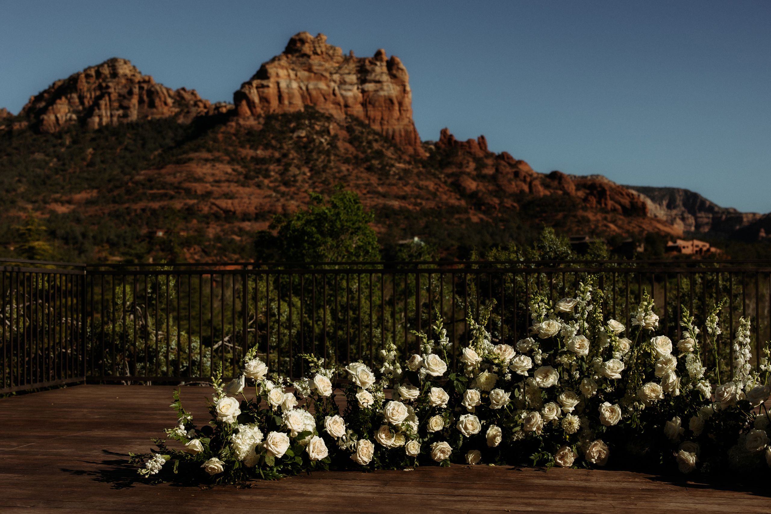 2025-06/Emily+Mike_0615.jpg