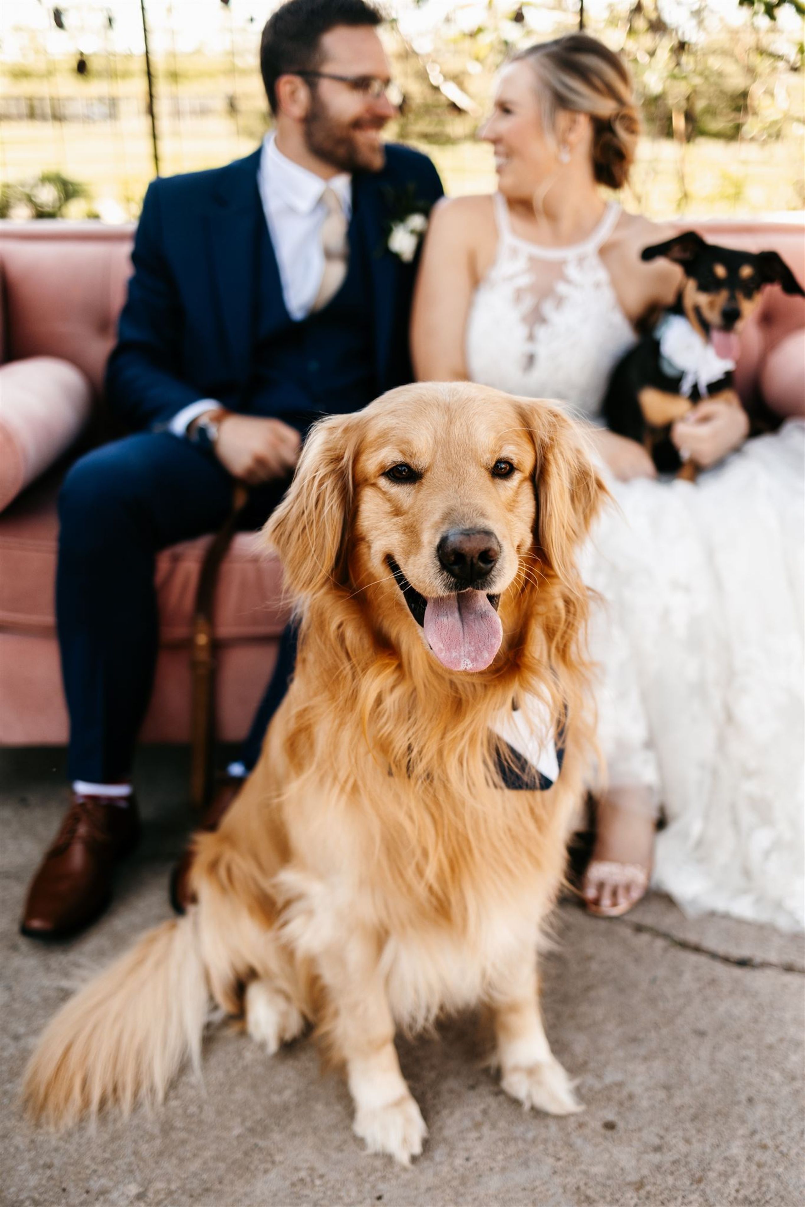 2025-08/stockey wedding-447_websize.jpg