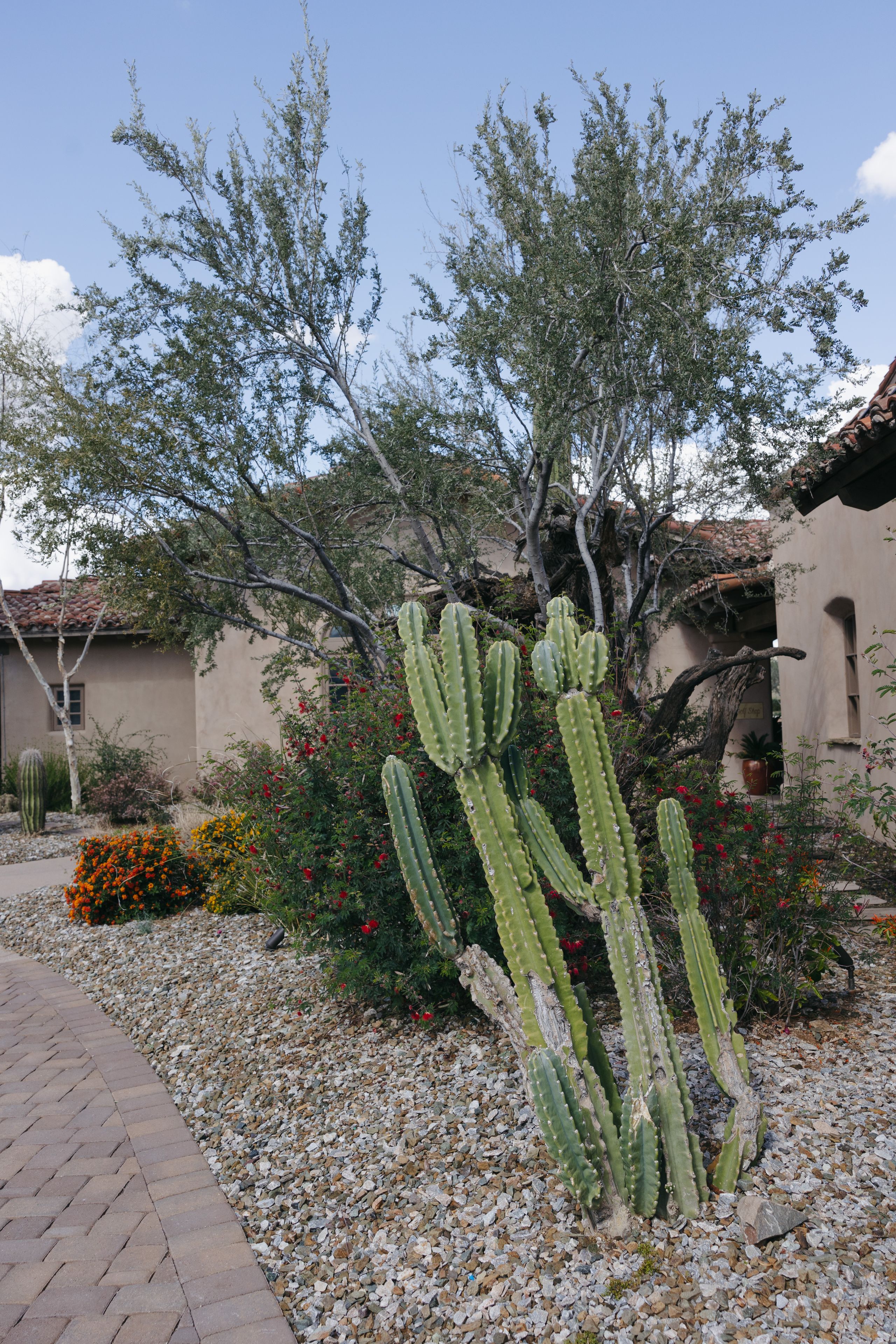 2025-08/editorial-arizona-wedding-photographer-cacie-carroll-photography-85-2.jpg