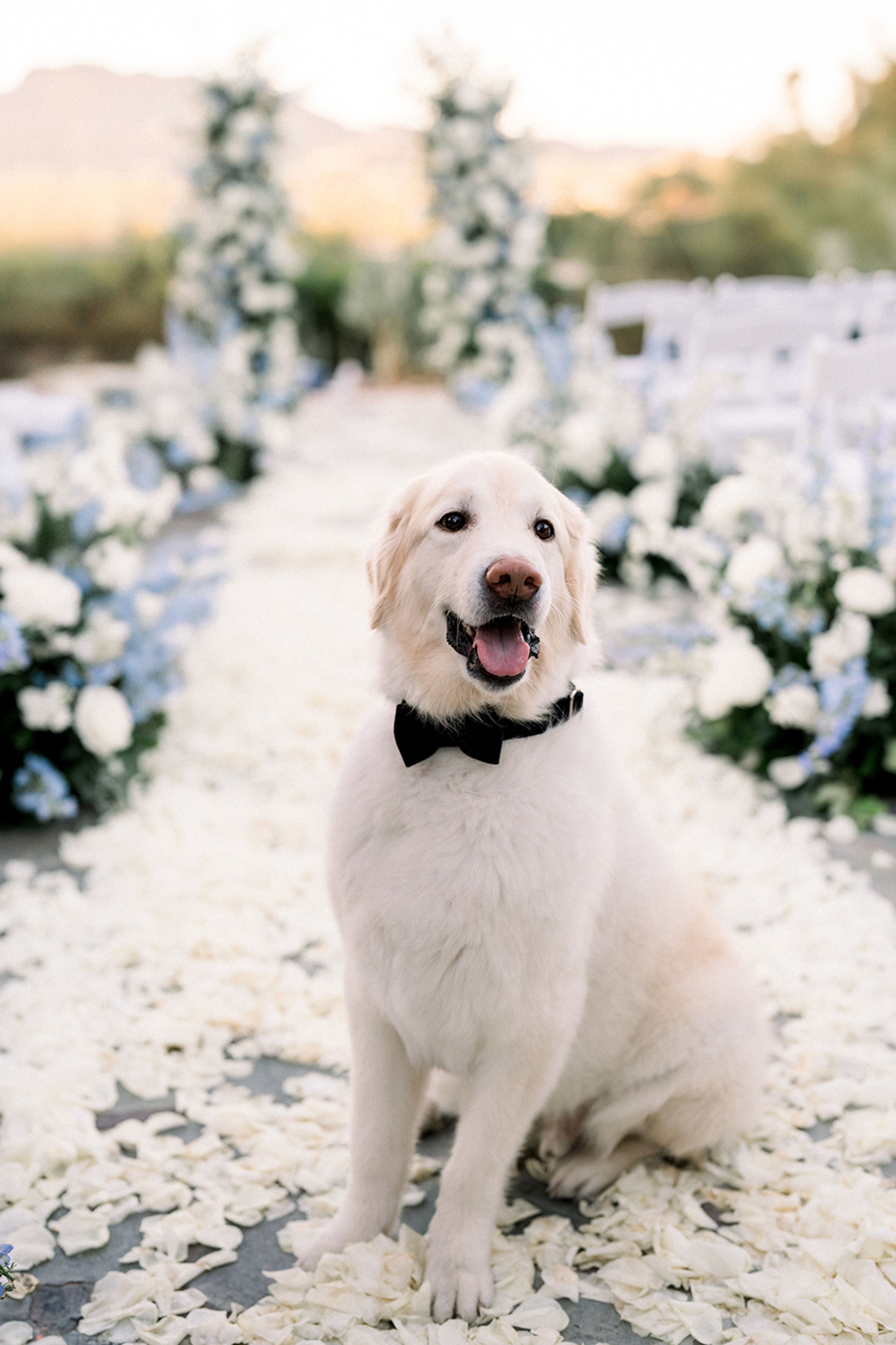 inline-images/Photograph by Brittney Nemic.jpg