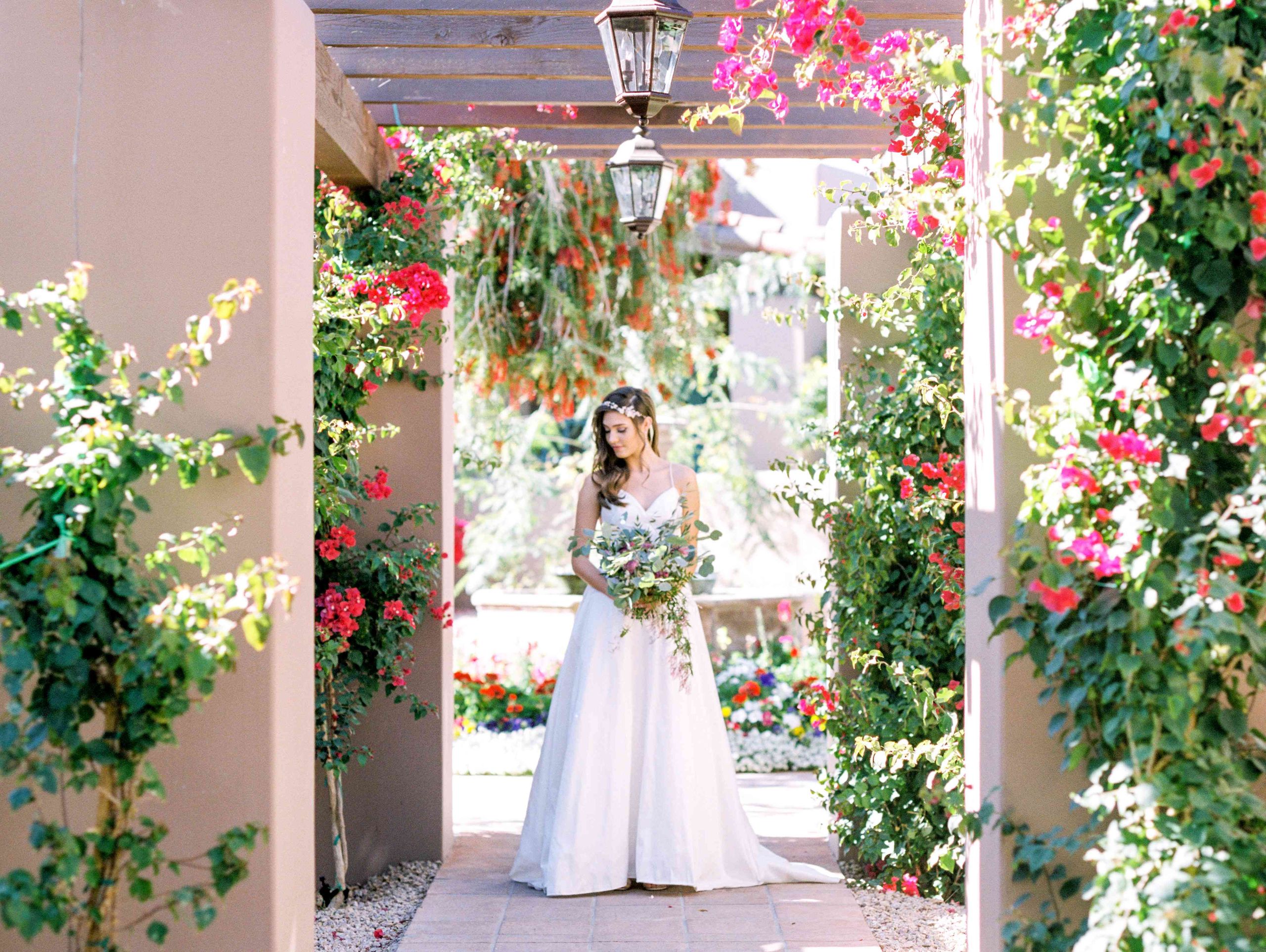 2023-12/Bride under trellis.jpg
