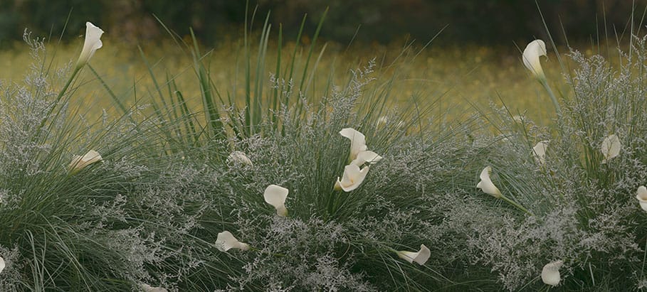 flowers-card.jpg