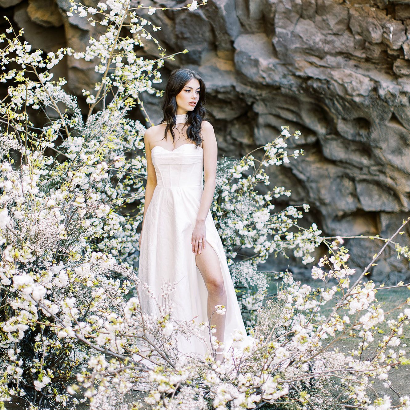 flowers.jpg