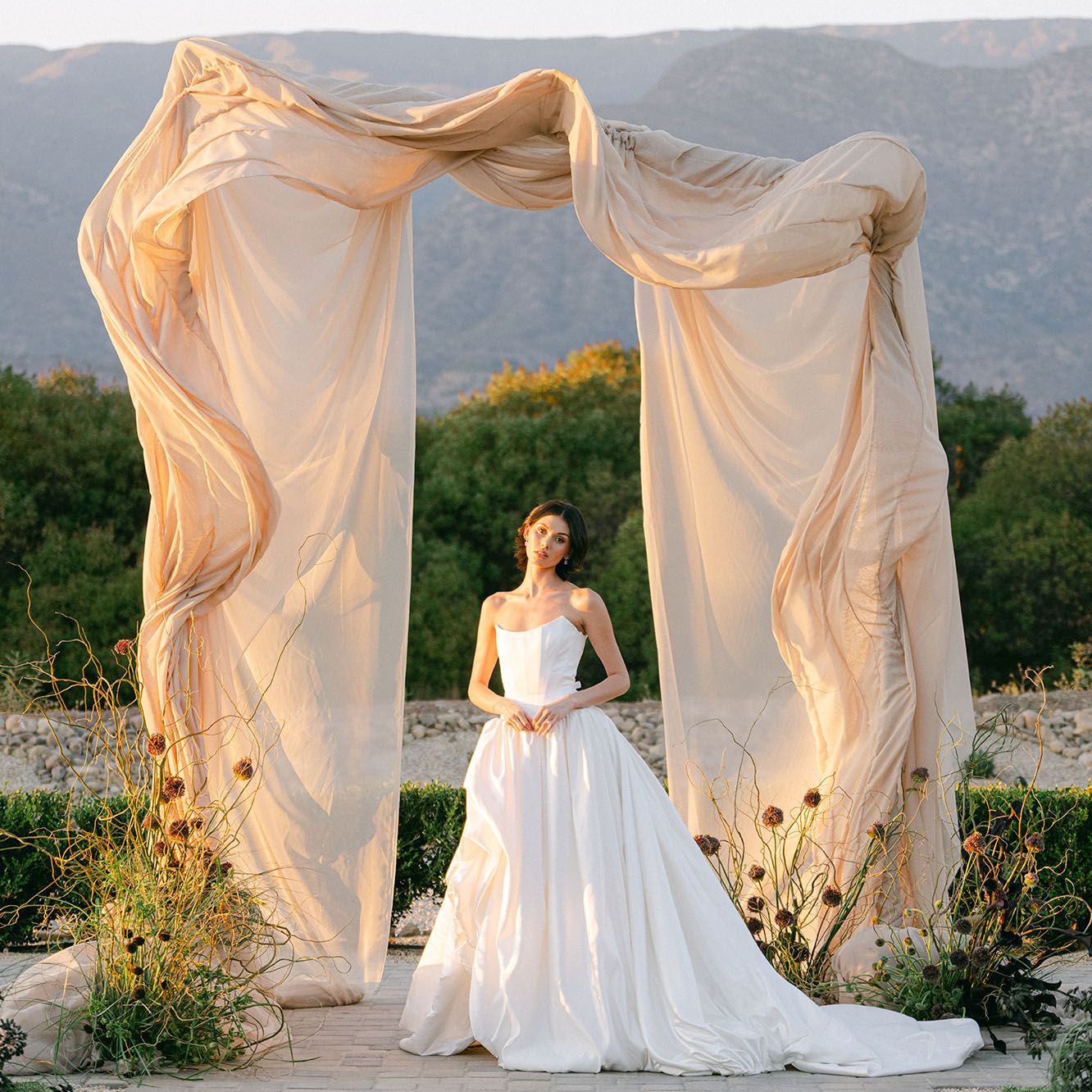 photographers-cwd.jpg