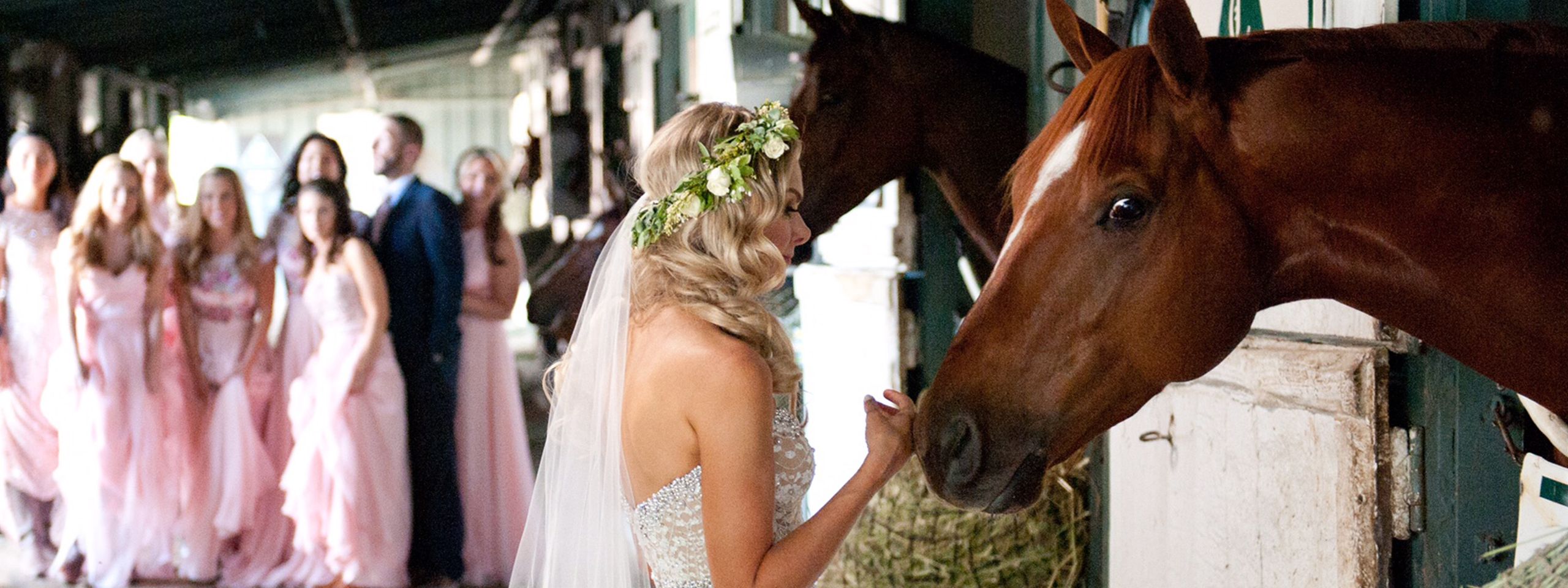 header-image-1.jpg