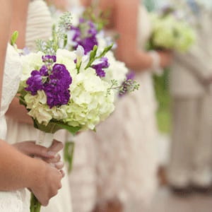 field/image/Maren-and-Josh-blog-088.gif