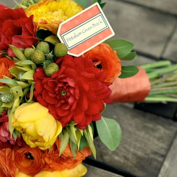 field/sandboxmnbridecom239elwb01blackmeshcom/image/PGB-ellierosefull_0.jpg