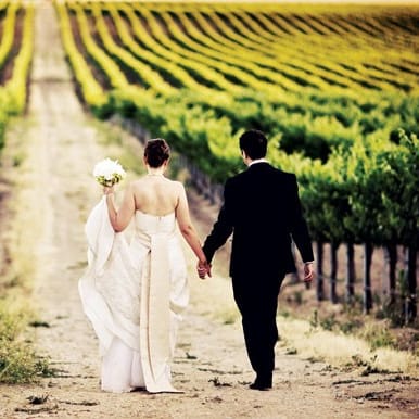 field/image/m_semerdjyan_2978-edit-1.jpg